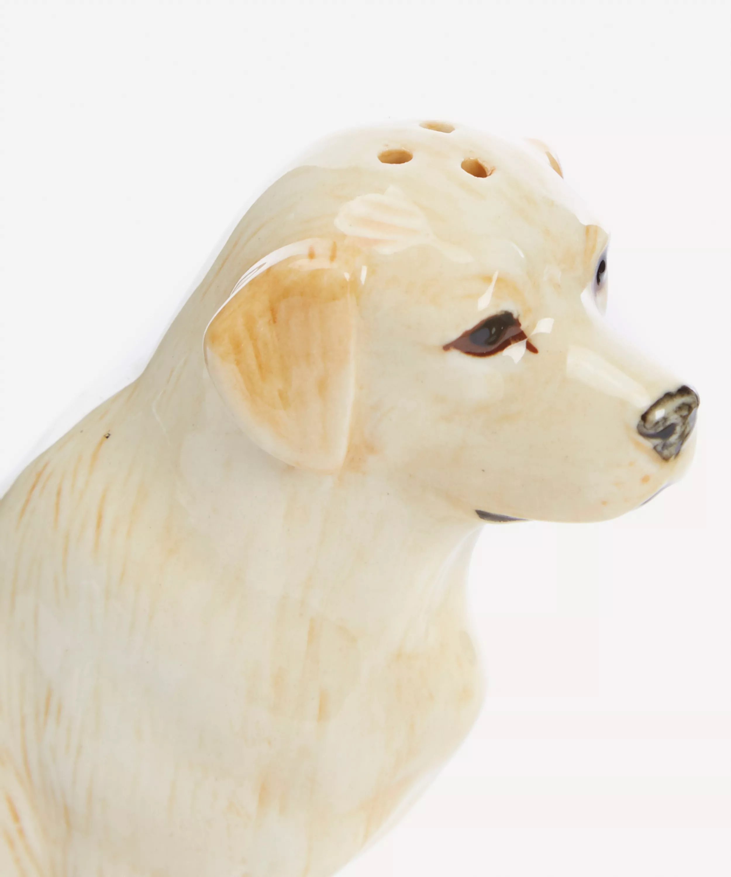 Lab Salt & Pepper Shakers