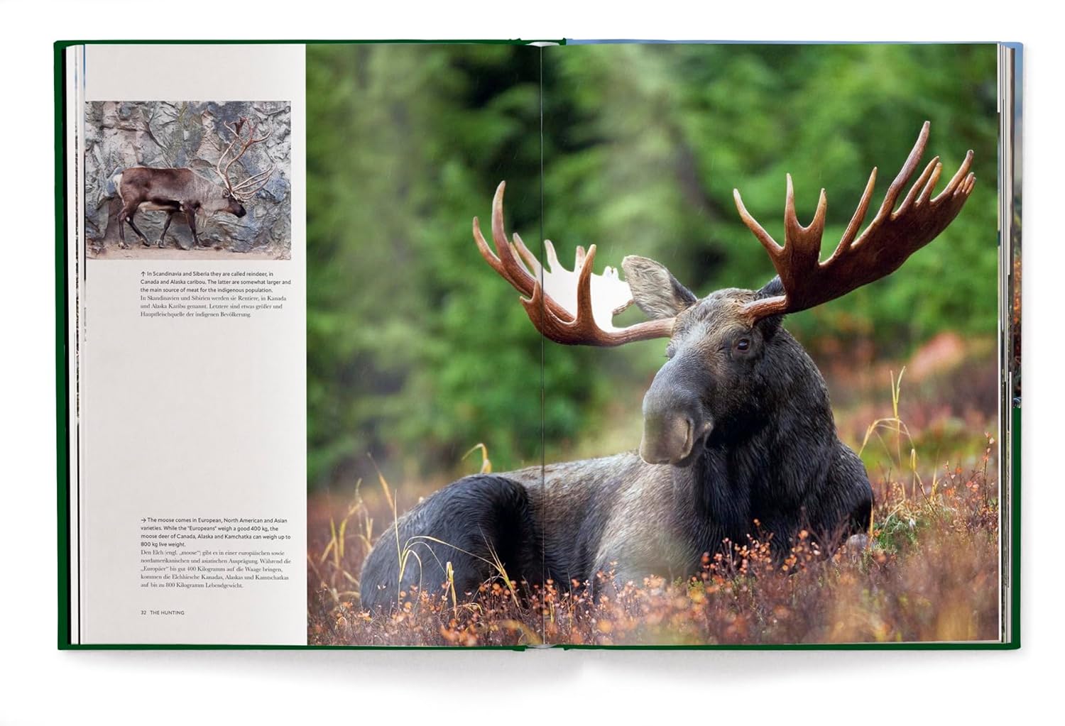 Hunting - The Ultimate Book