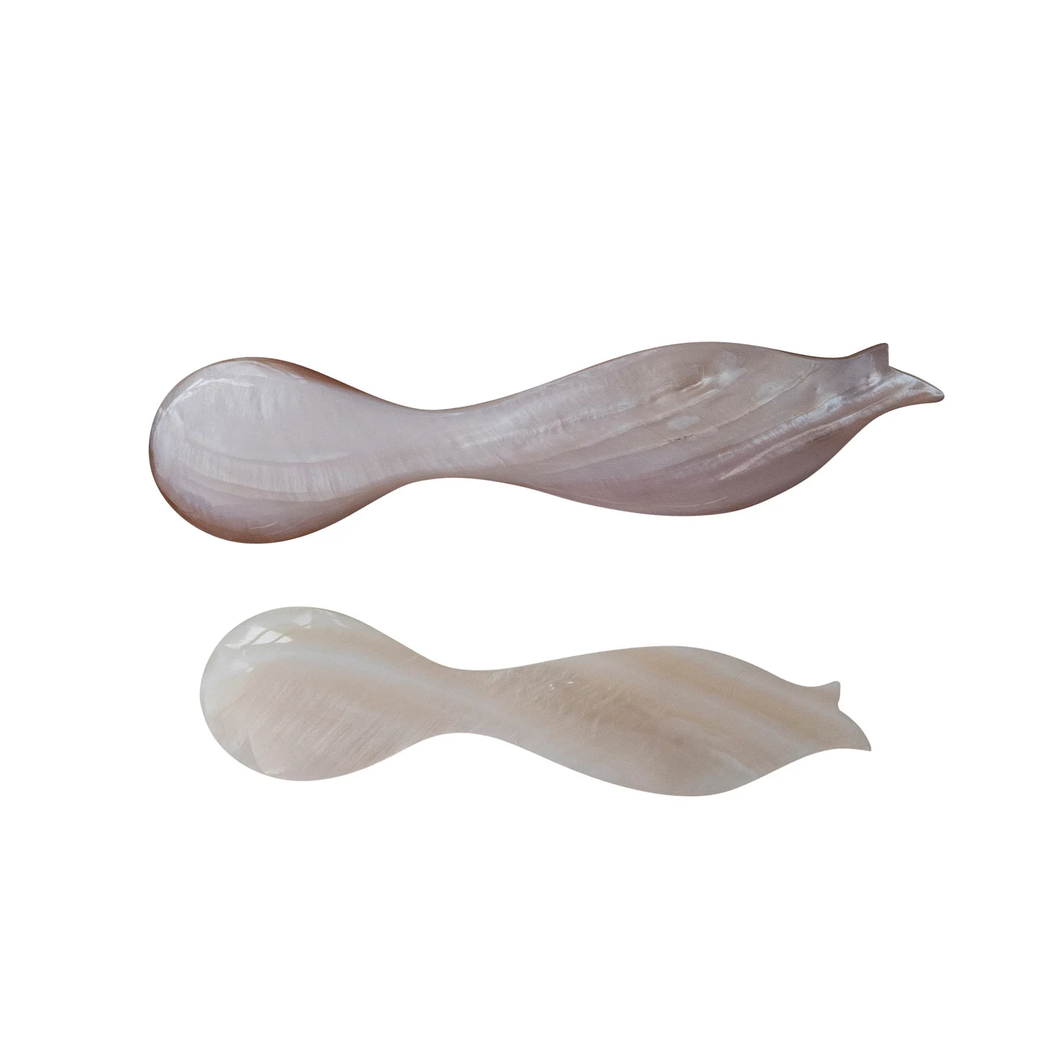 Natural Shell Spoon with Fish Shaped Handle