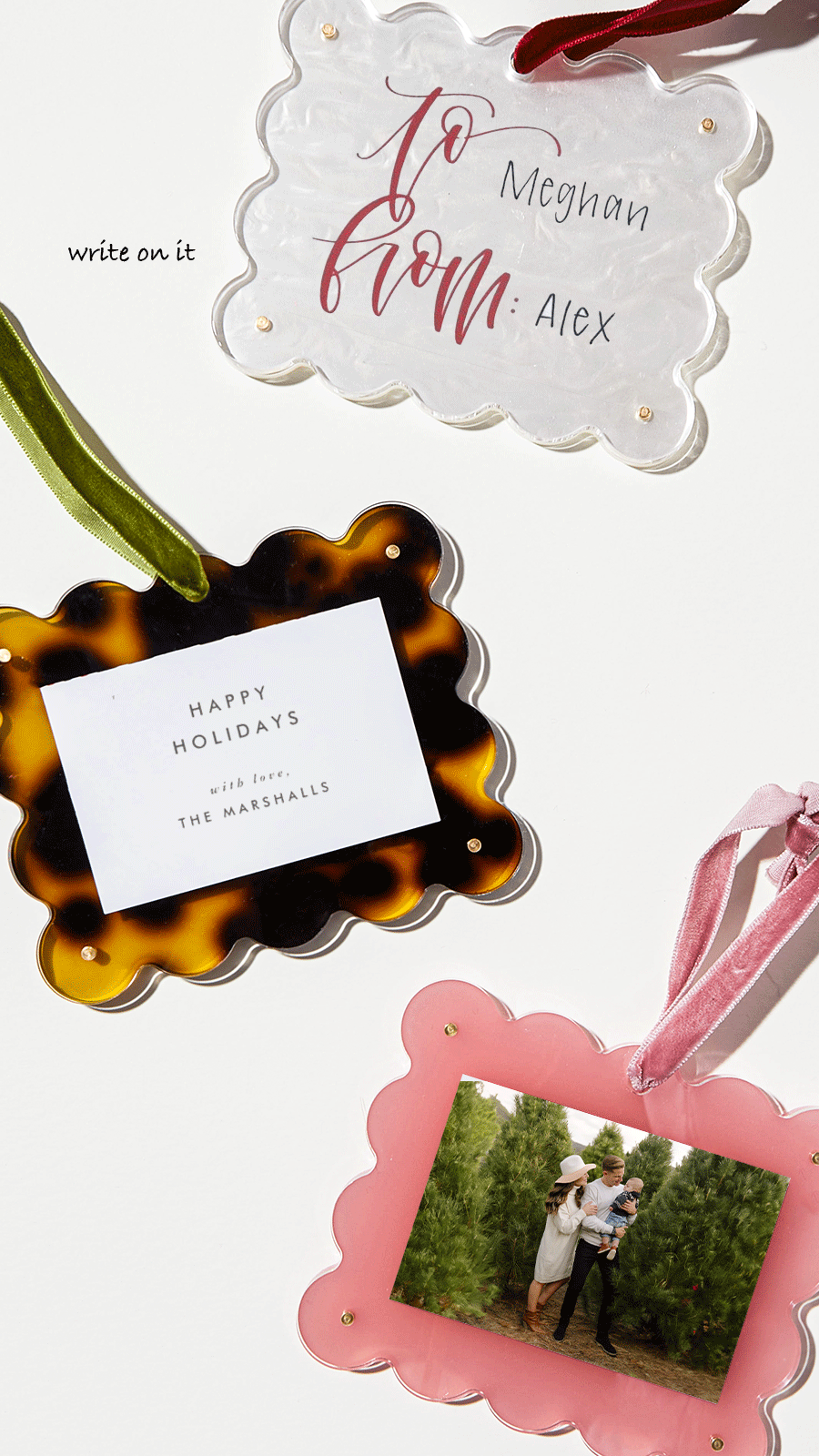 Frame Ornament - Tortoise