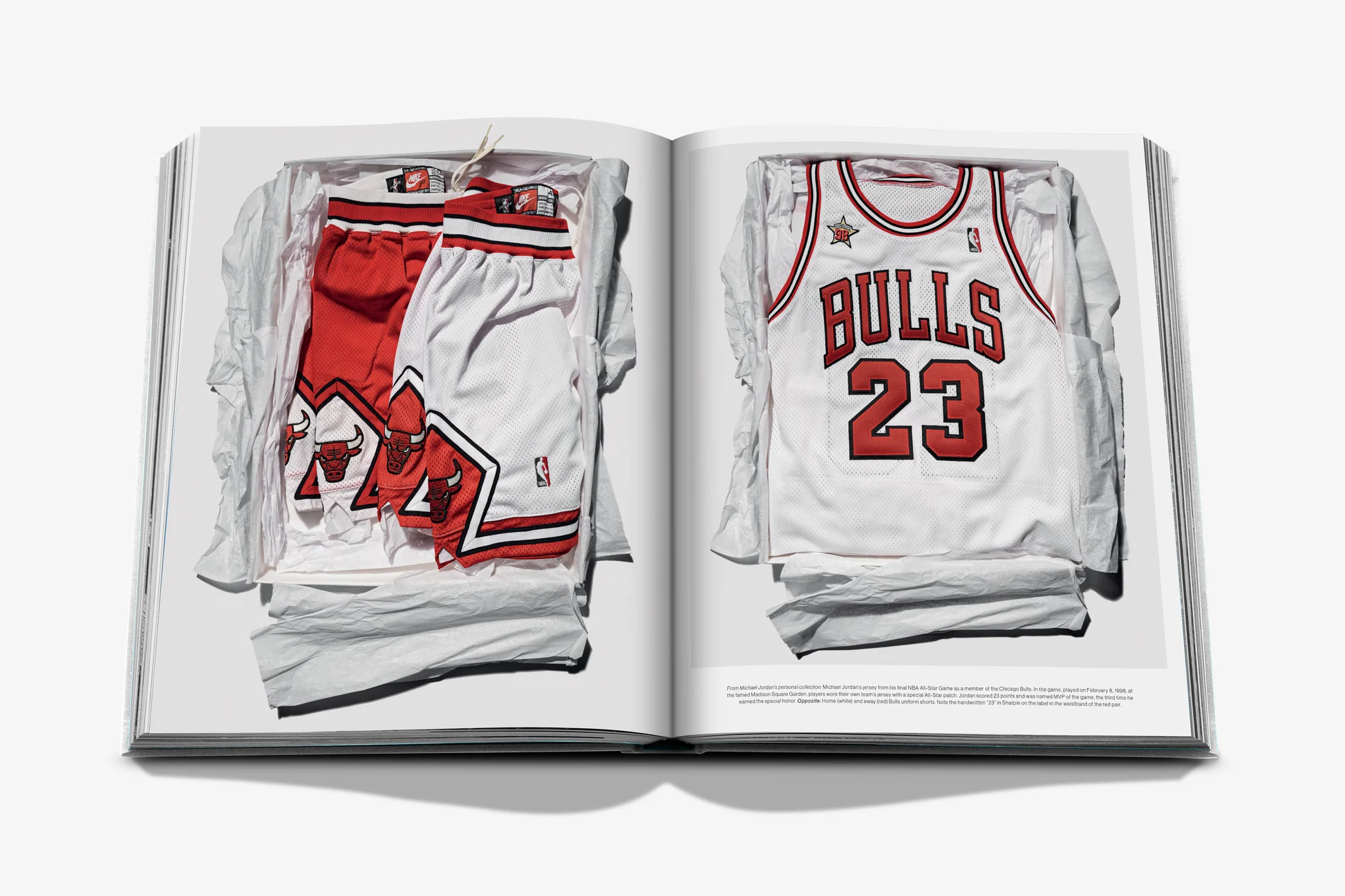 Air Jordan
