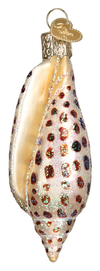 Junonia Shell Ornament