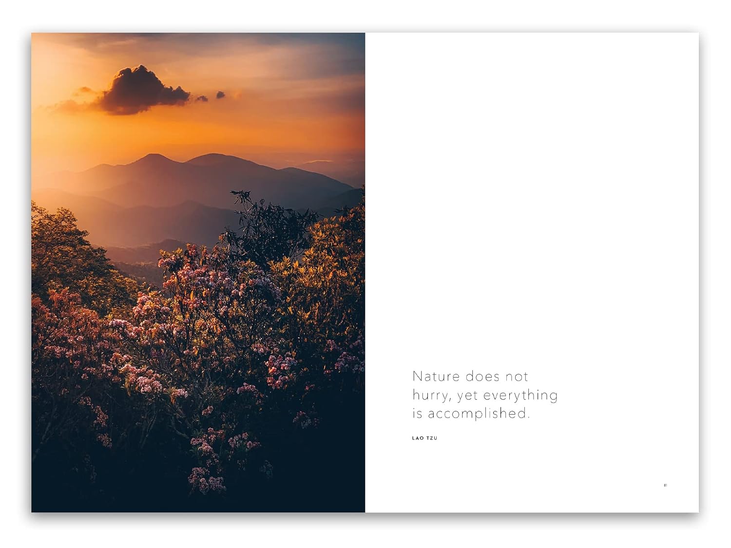 Blue Ridge Dreaming