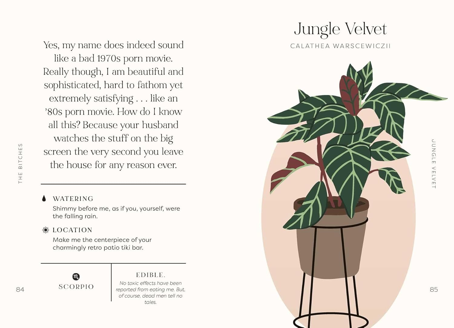 Houseplants and Their Thoughts