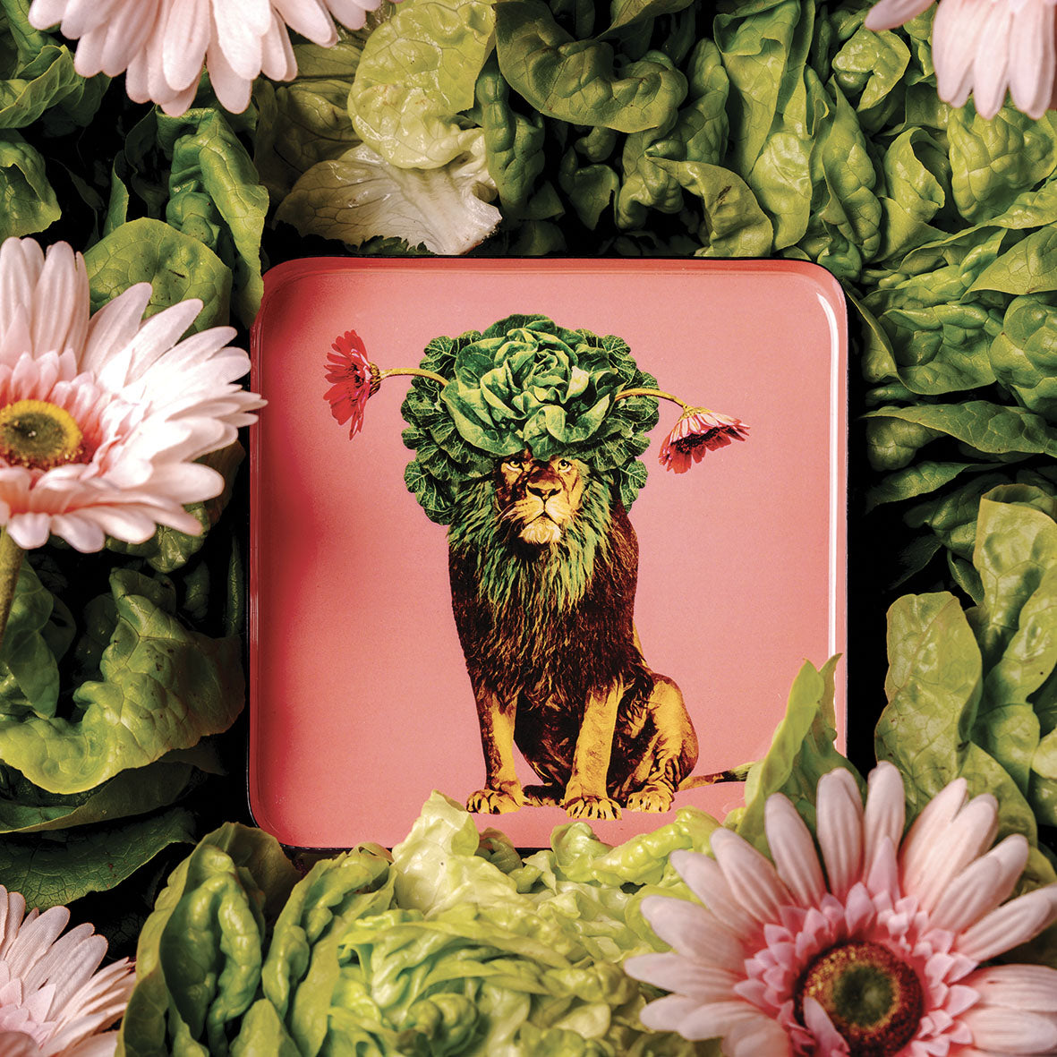 Léo's Catchall (Lion Tray)