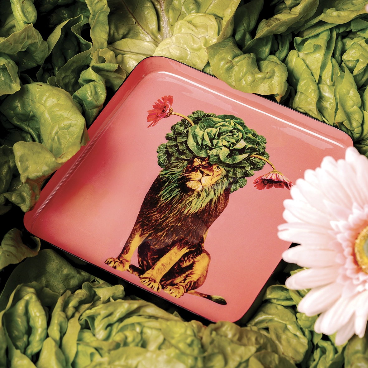 Léo's Catchall (Lion Tray)