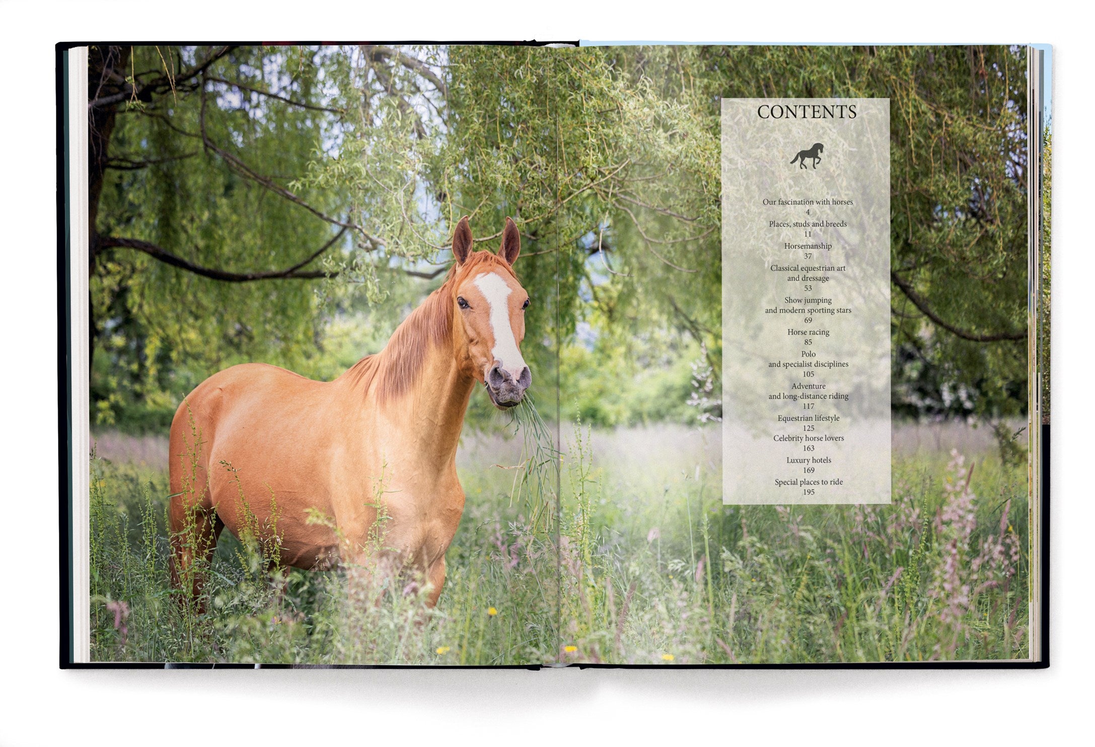 Equestrian - The Ultimate Book