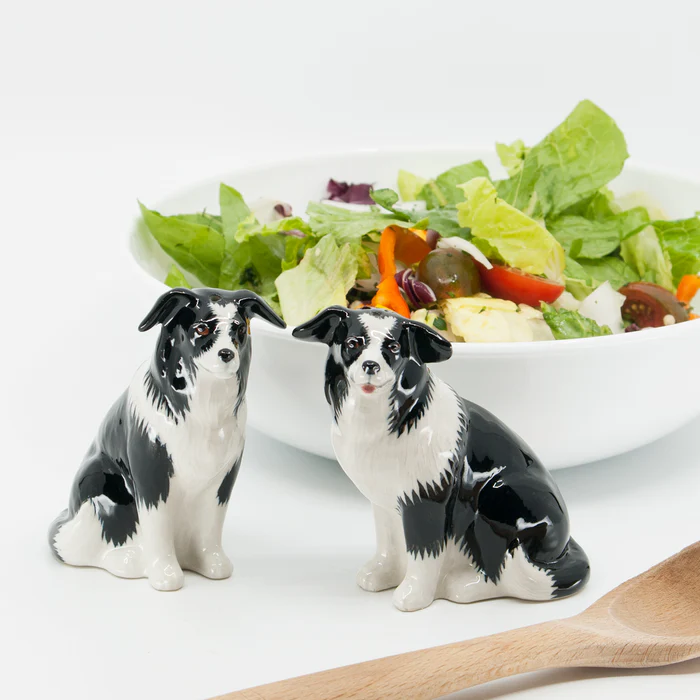 Border Collie Salt & Pepper Shakers