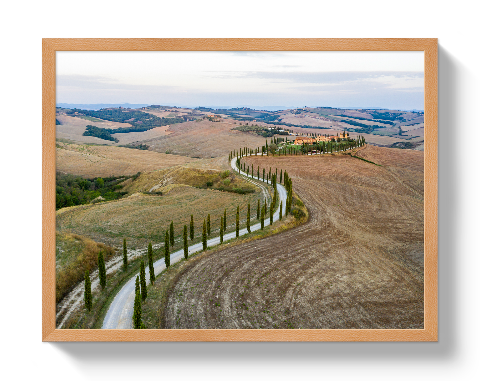 Road To Tuscany