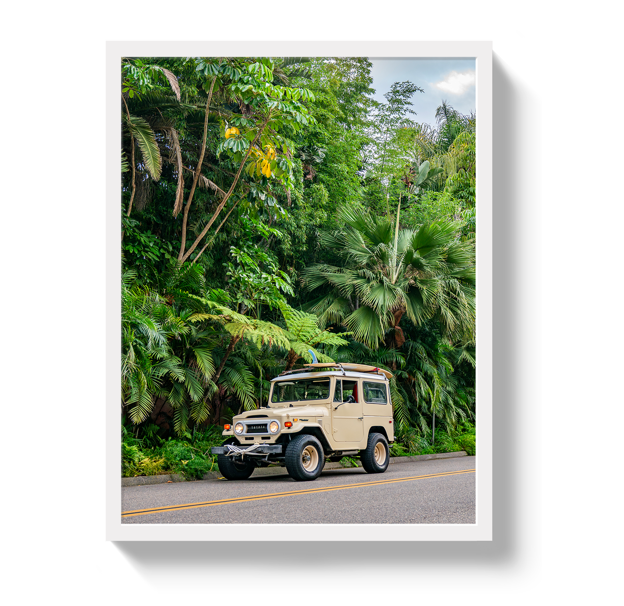 Tropical FJ 2