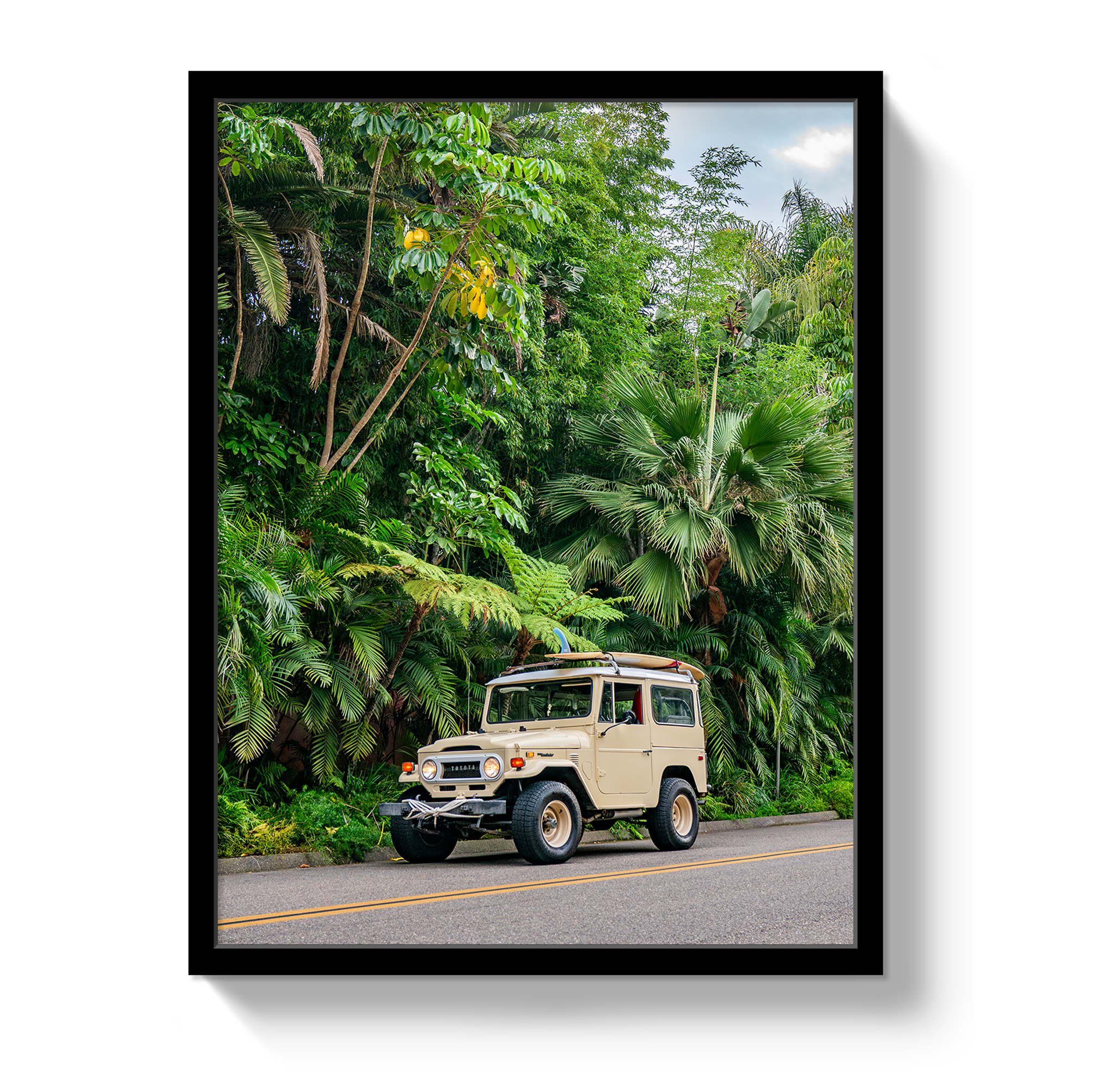 Tropical FJ 2