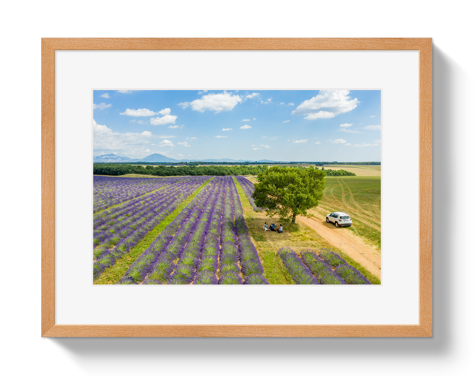 Provence Picnic