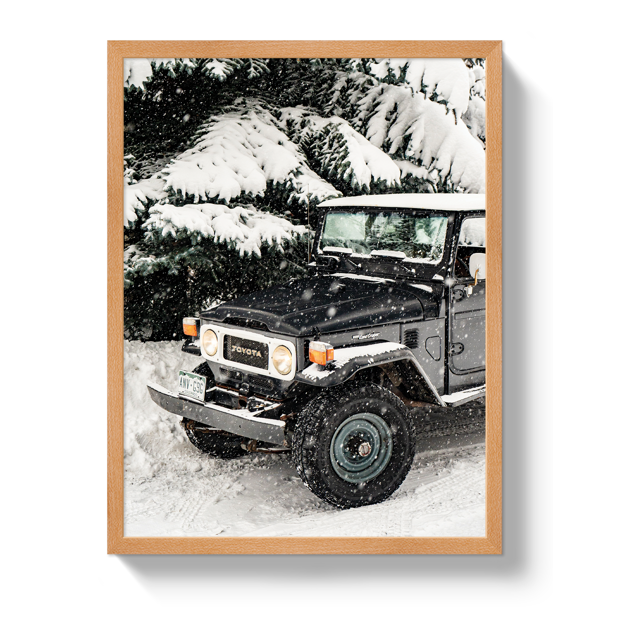 Snowy FJ