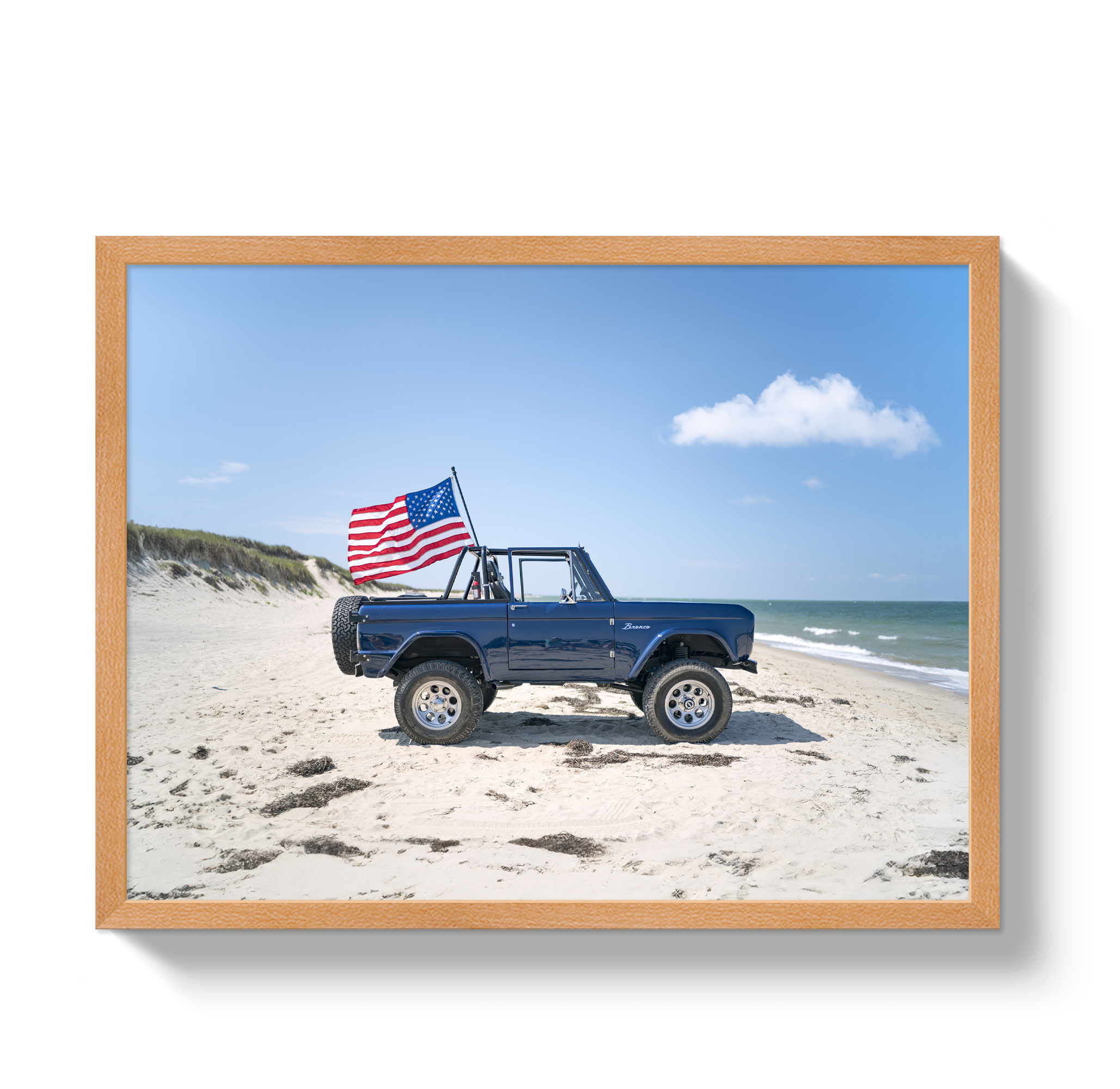 American Bronco