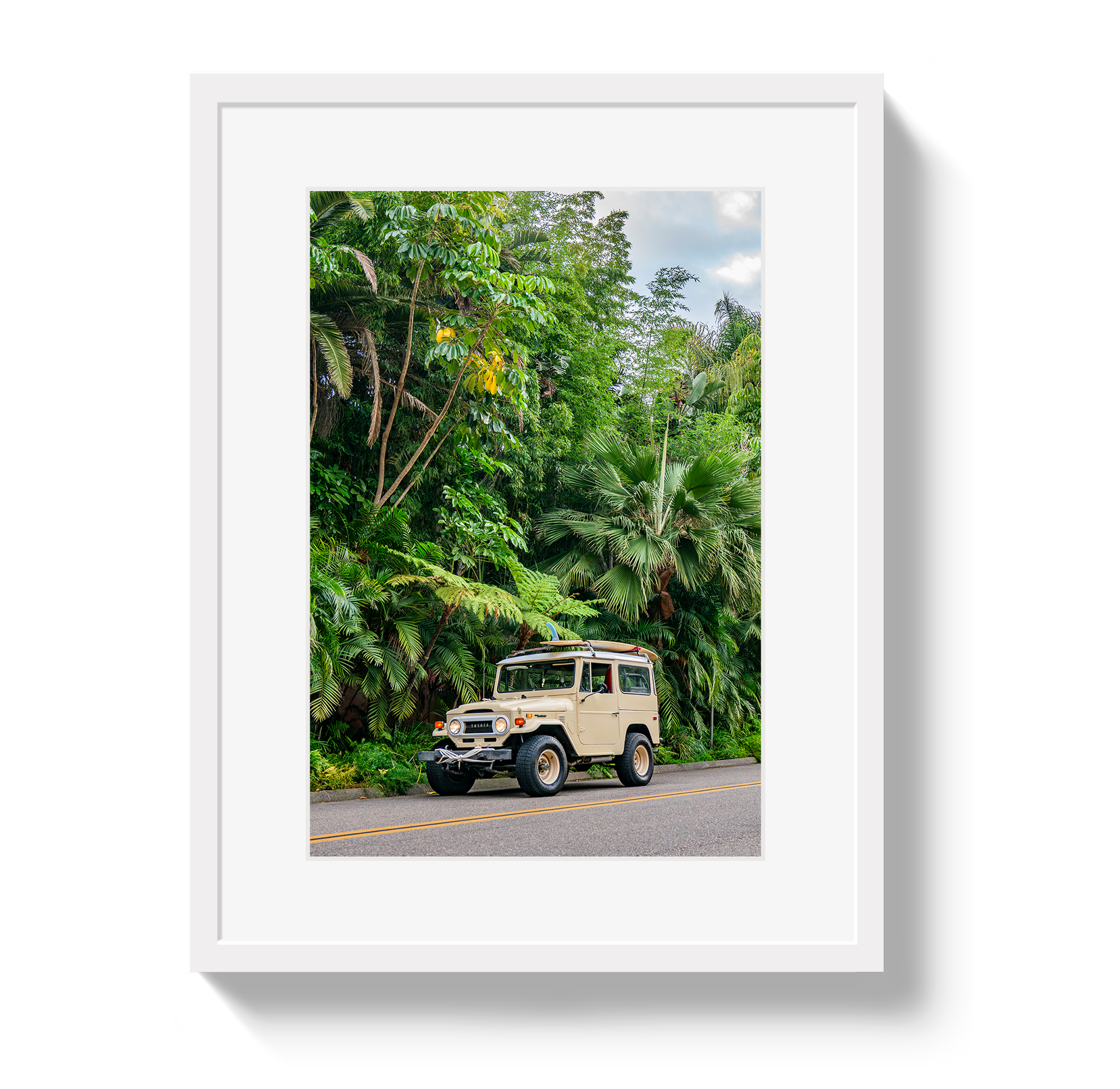 Tropical FJ 2