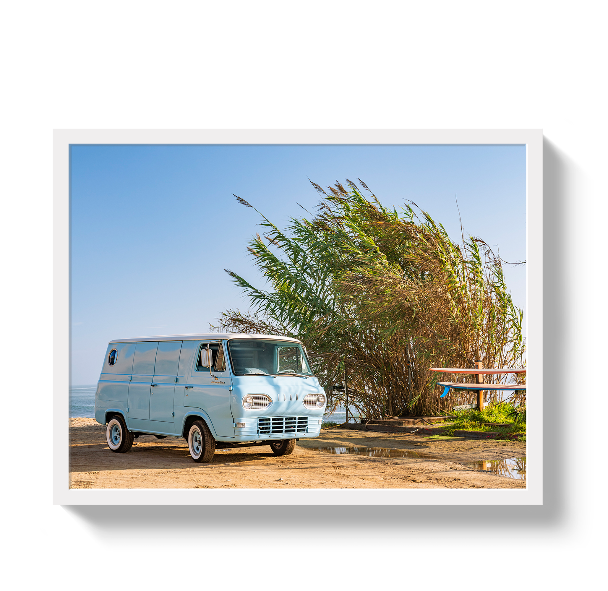 Sano Bus