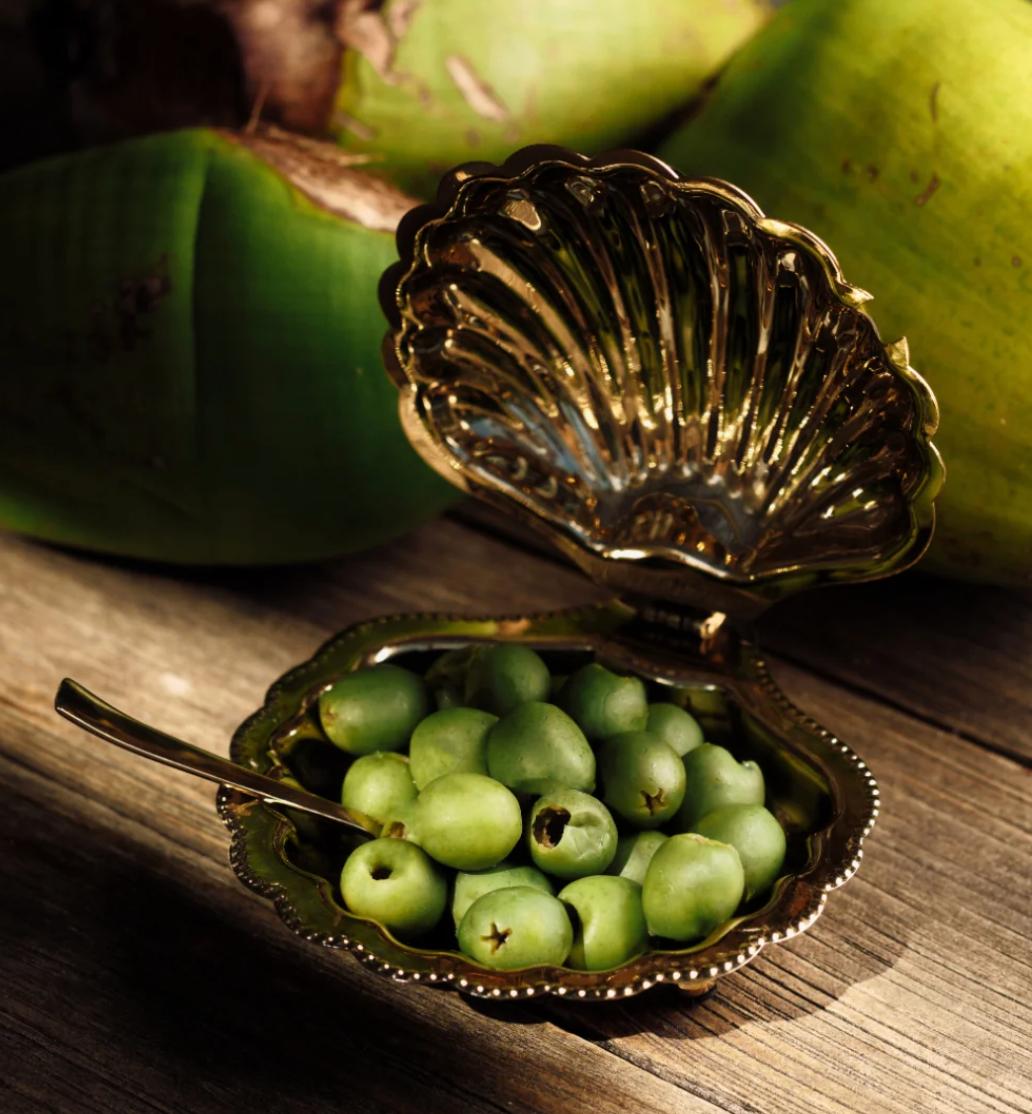 Cap Ferrat Fan Shell Lidded Bowl w/ spoon