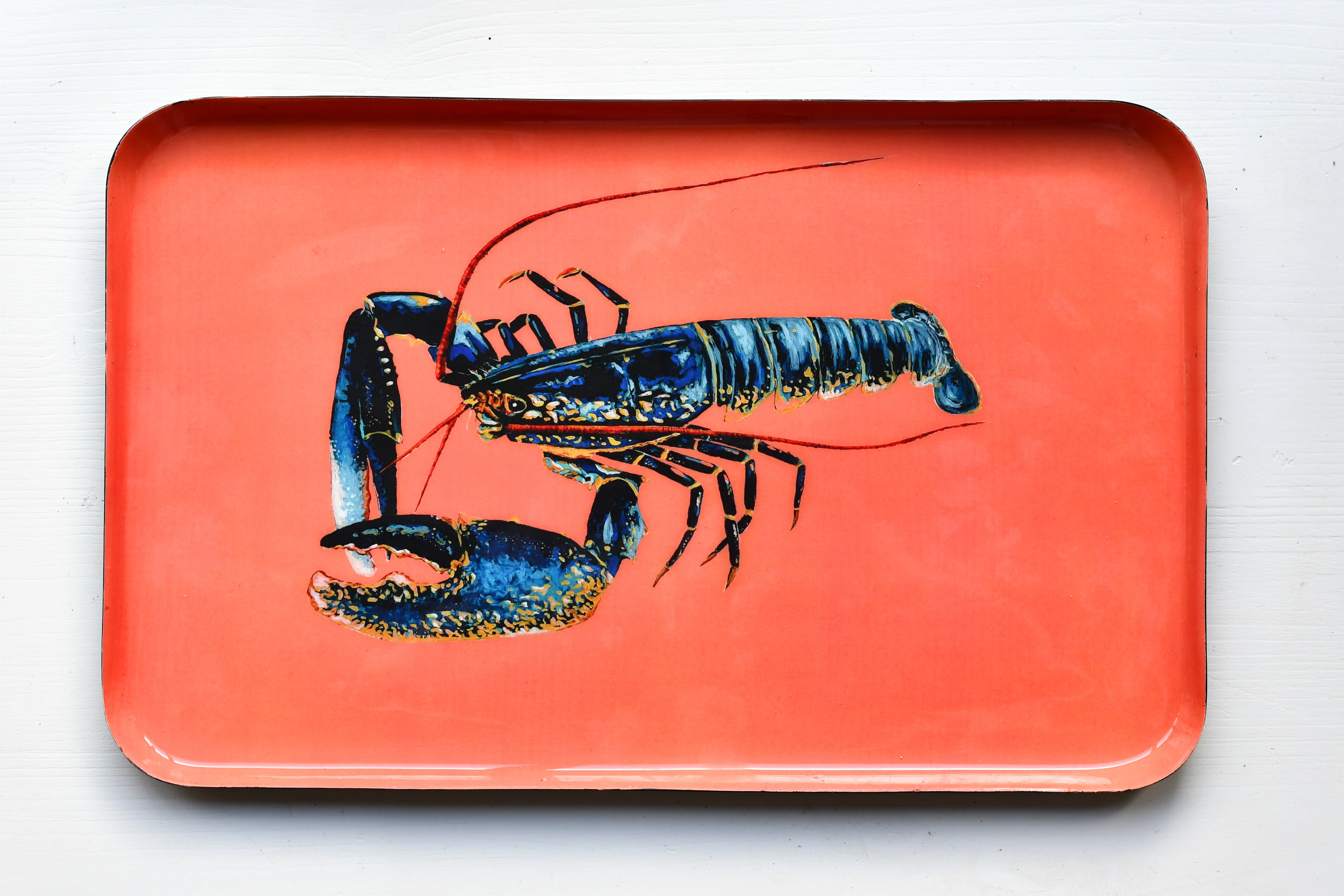 Le Homard Enamel Aluminum Tray