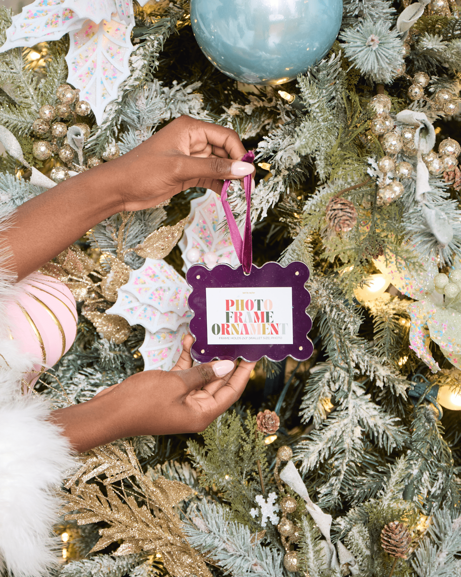 Frame Ornament - Plum