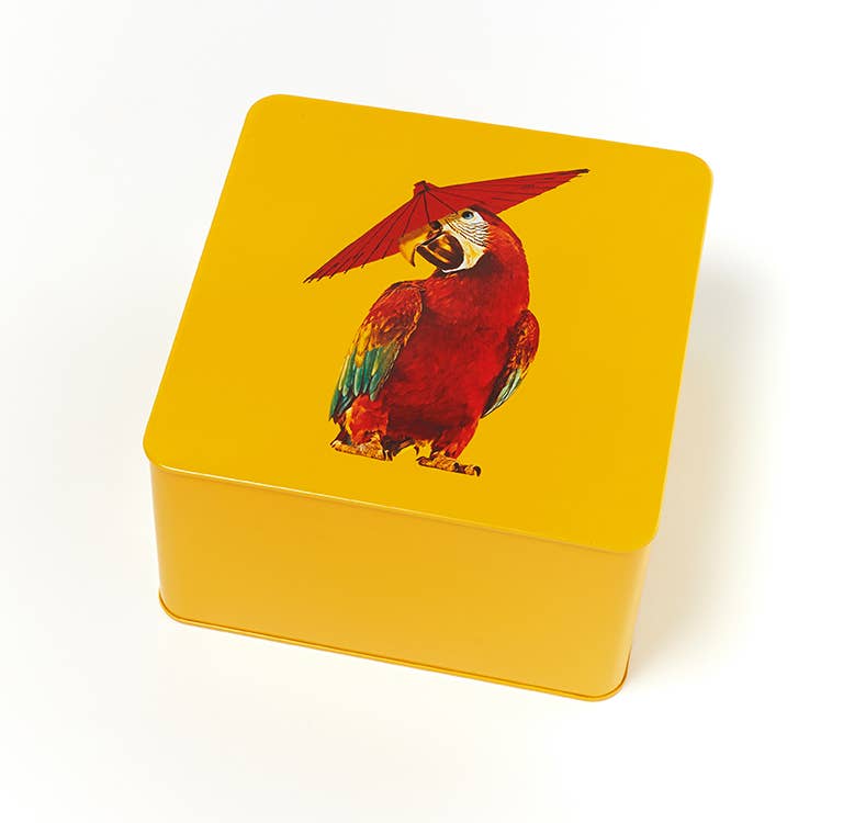 Square Metal Box Arapluie (Parrot Box)