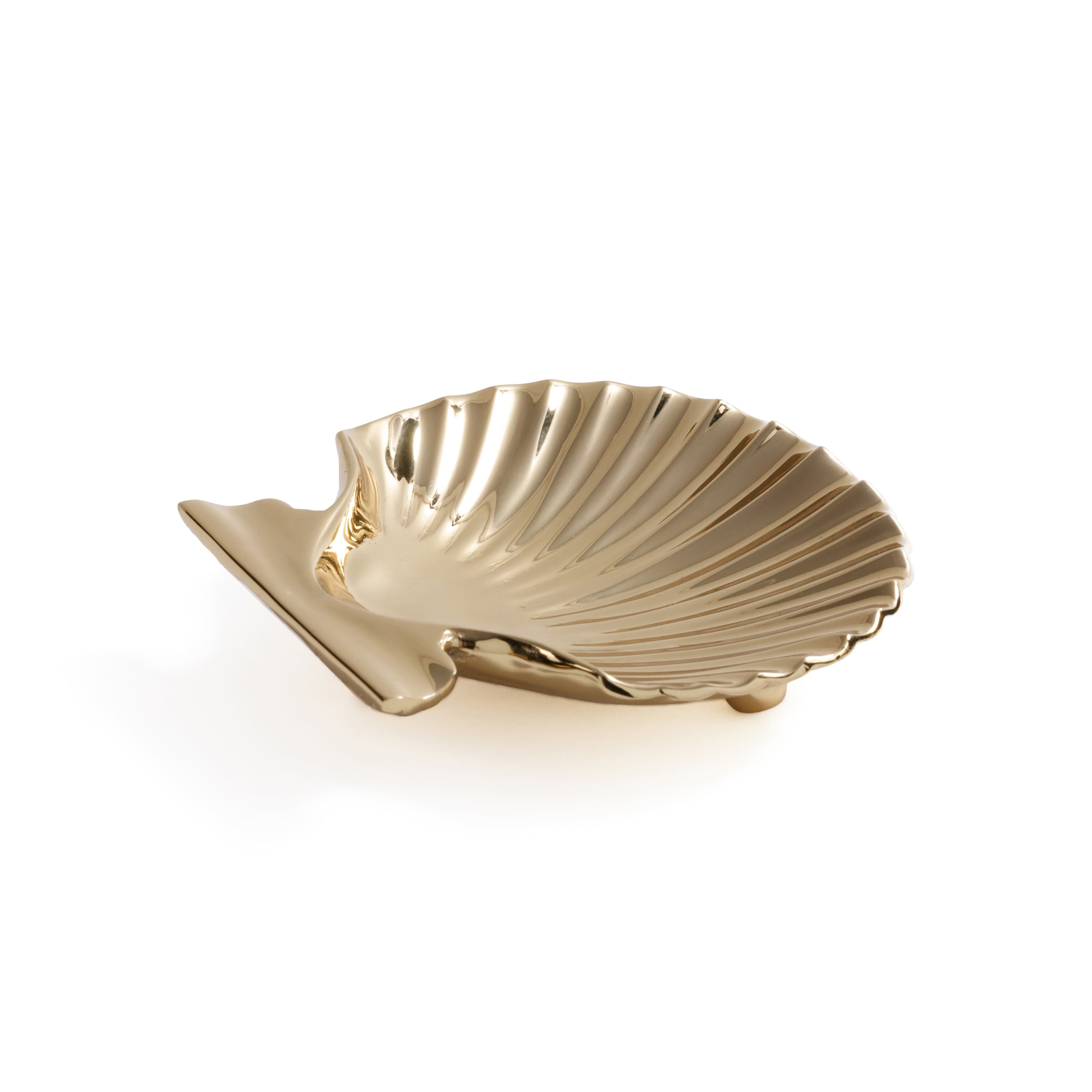 Sanibel Shell Tray