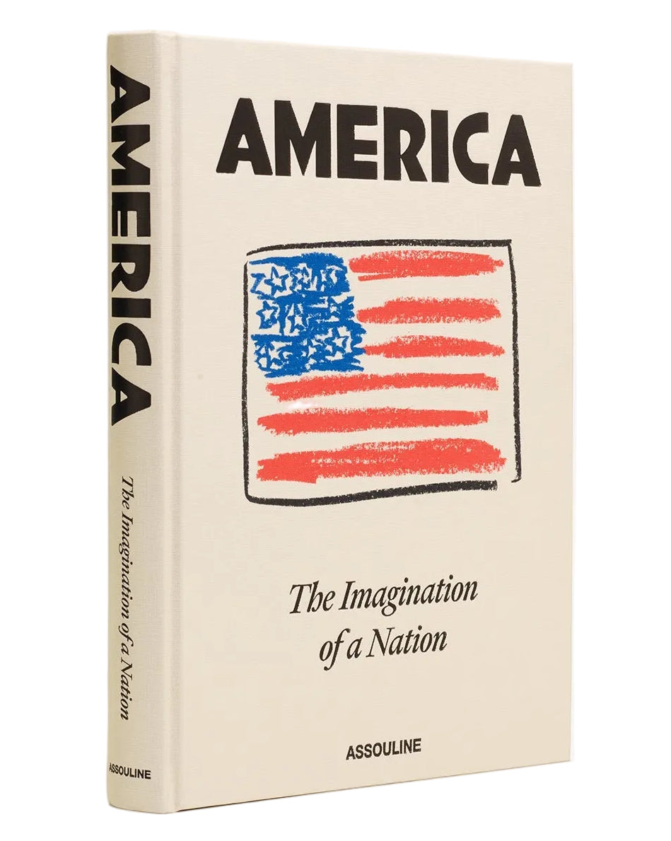 Book titled 'America: The Imagination of a Nation' with an American flag design on a beige background