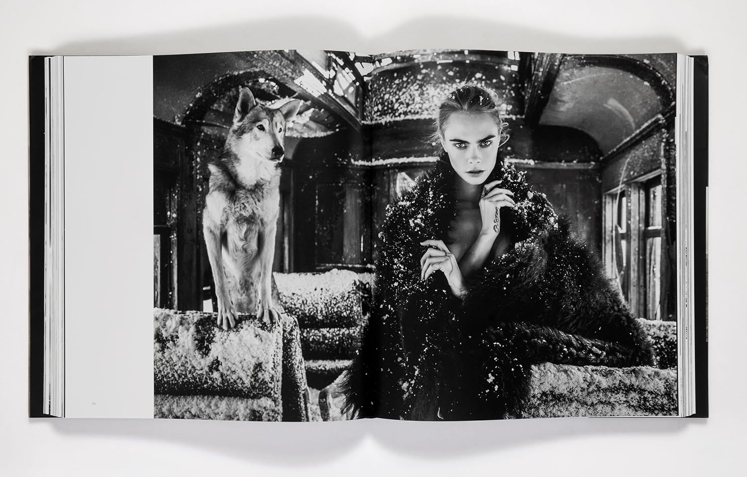 David Yarrow The Collection