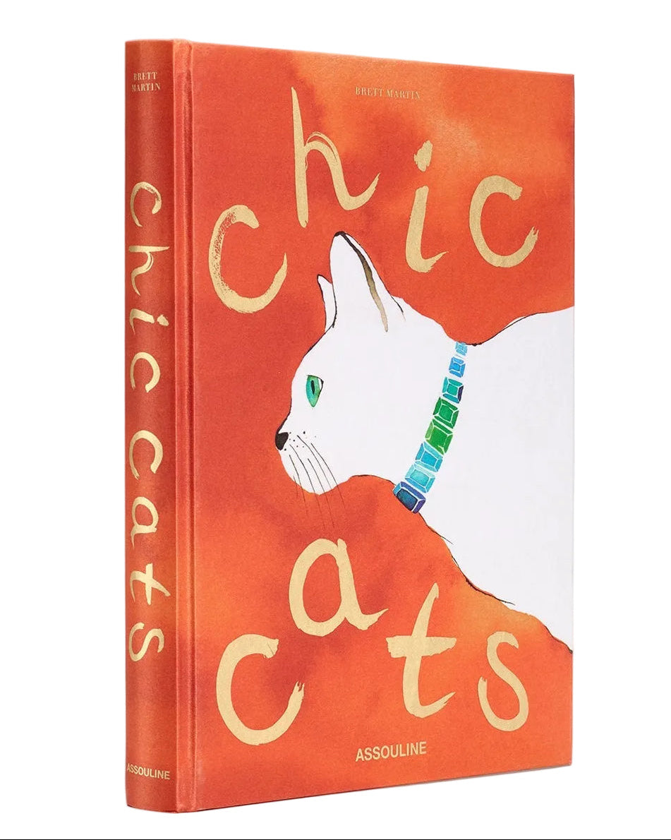 Book titled 'chic cats' with a cat illustration on an orange background