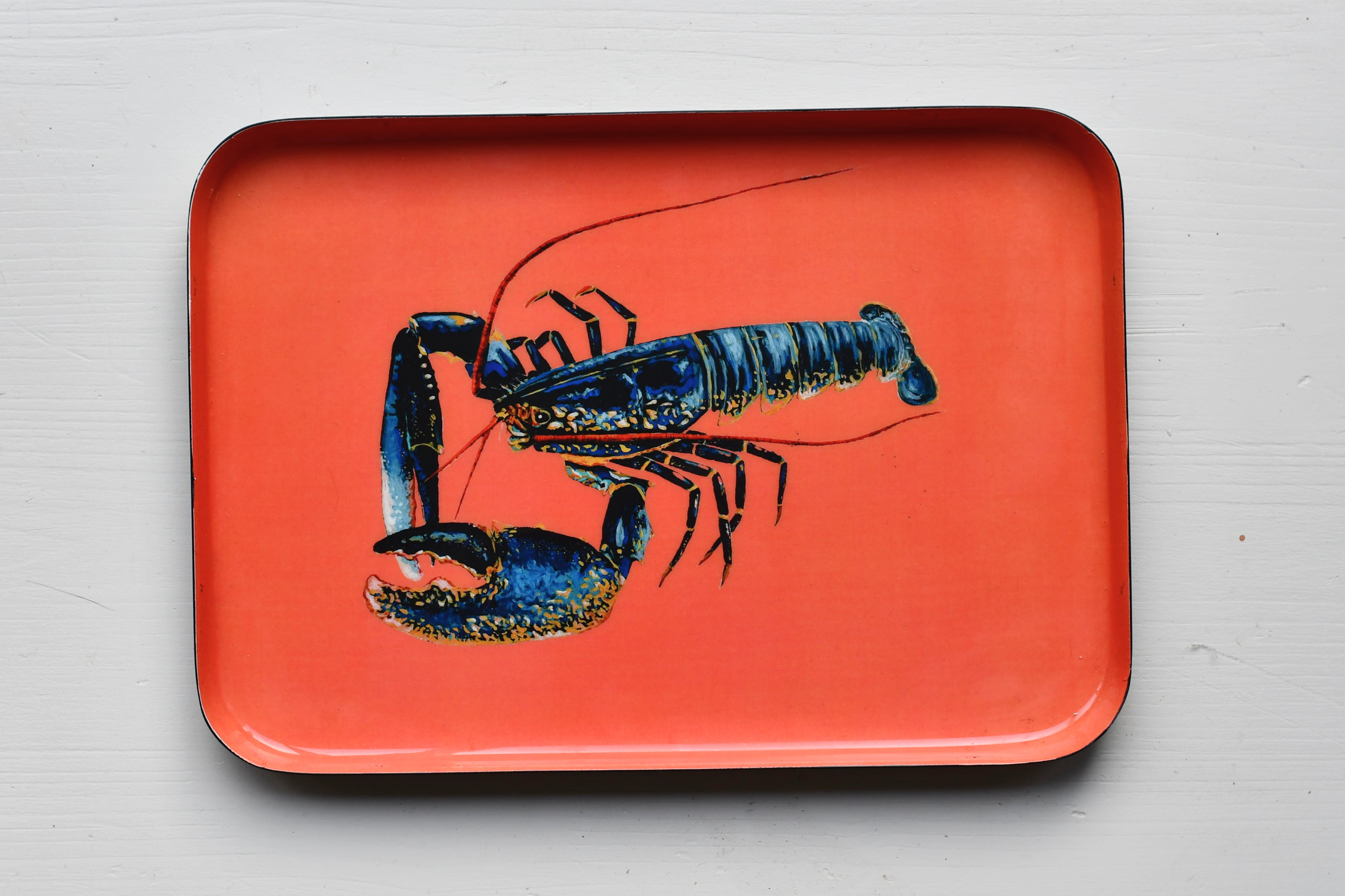 Le Homard Enamel Aluminum Tray