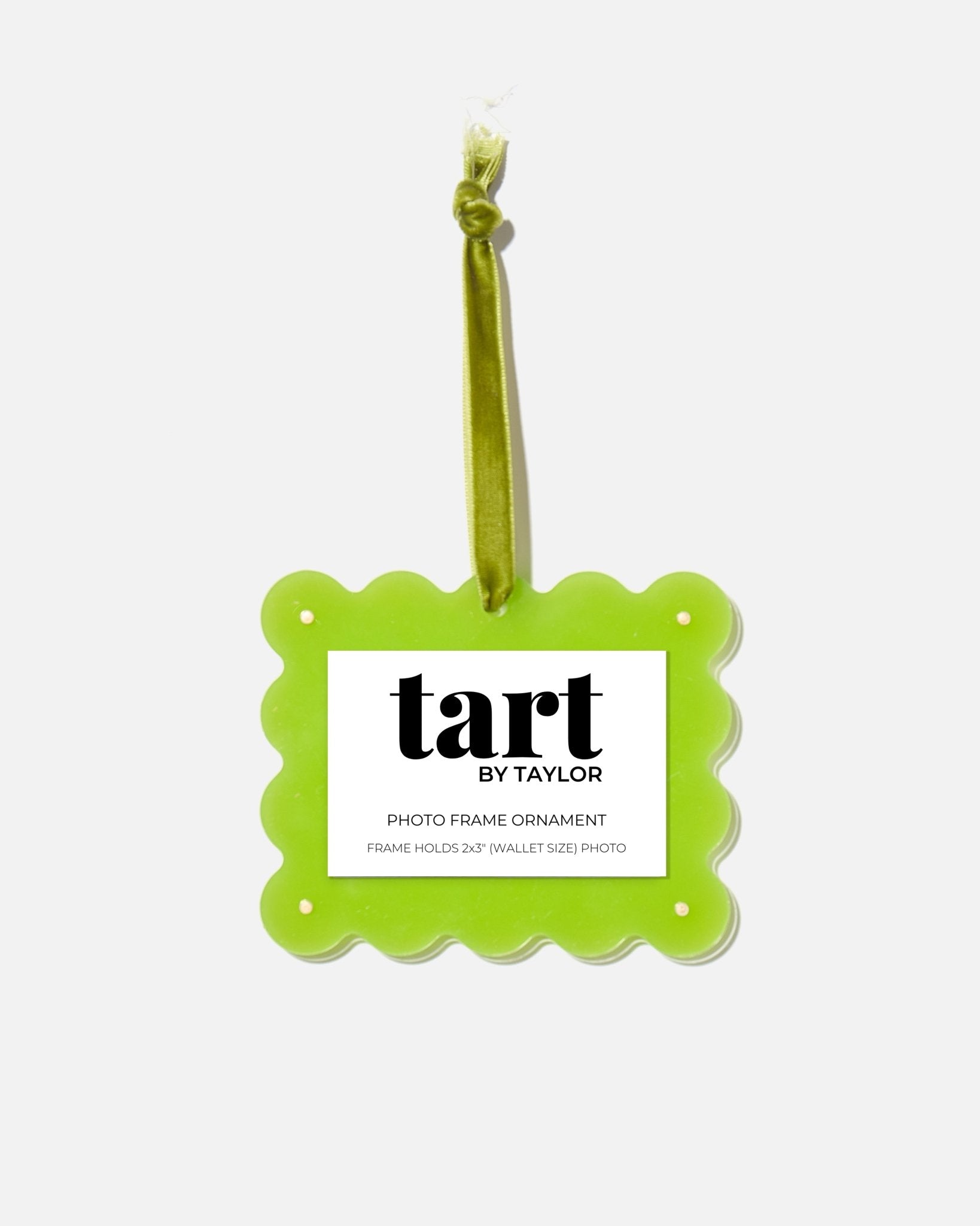 Frame Ornament - Kiwi