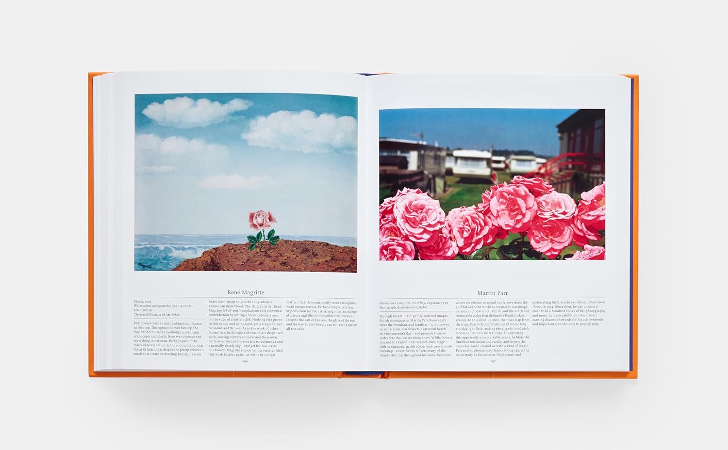 Flower: Exploring the World in Bloom (Compact Format)