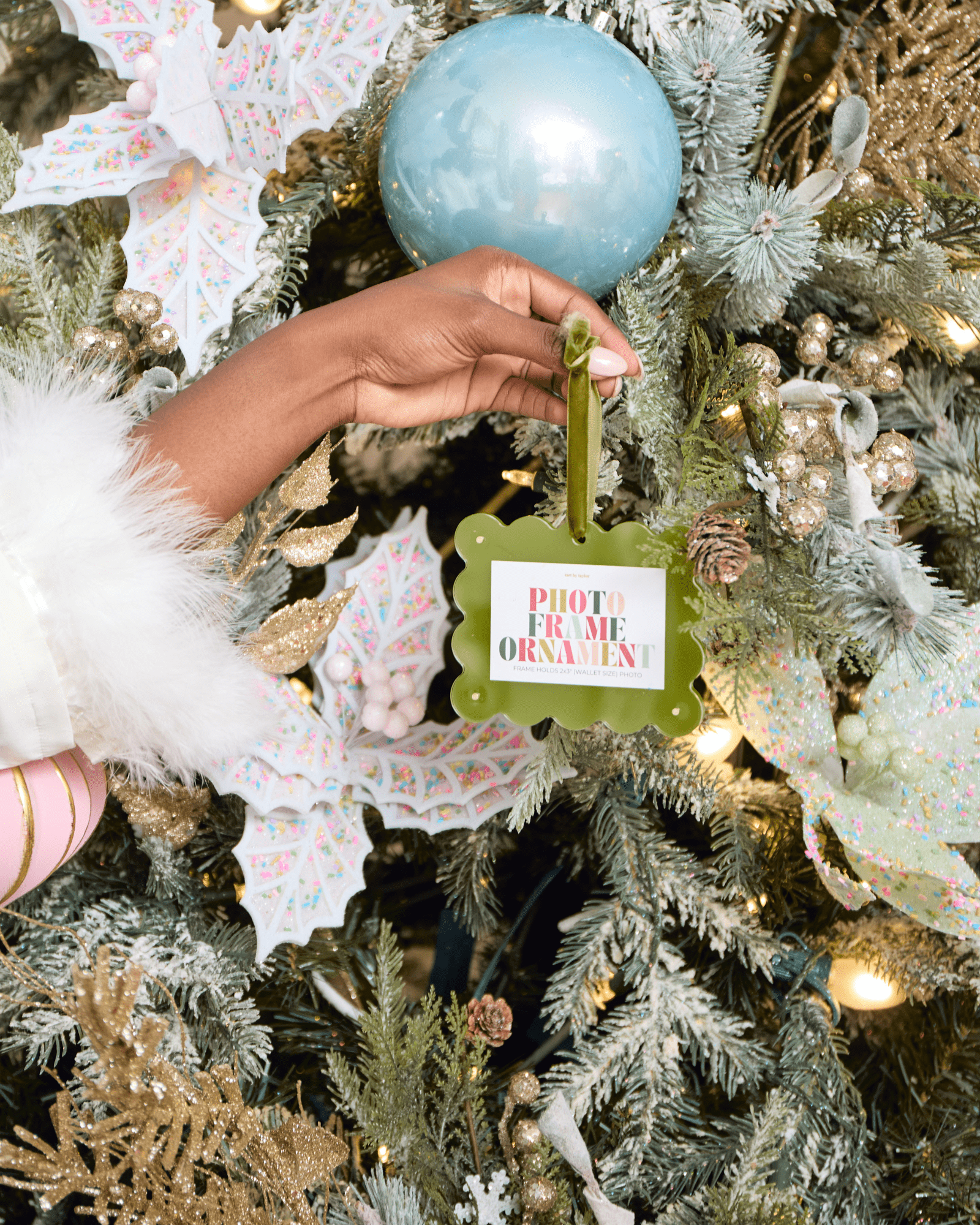 Frame Ornament - Kiwi