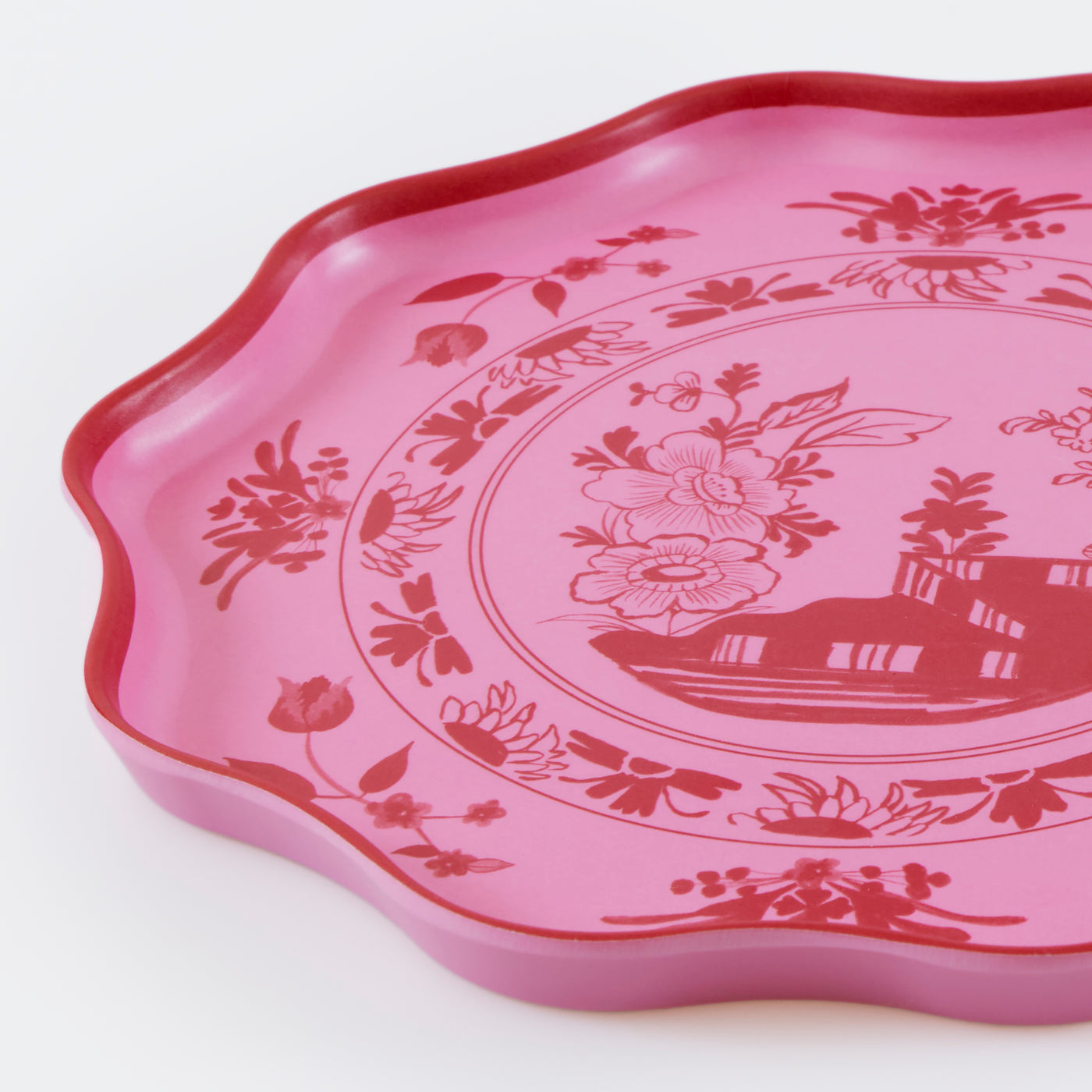 Pink Vintage Botanical Reusable Large Plates - Set of 4