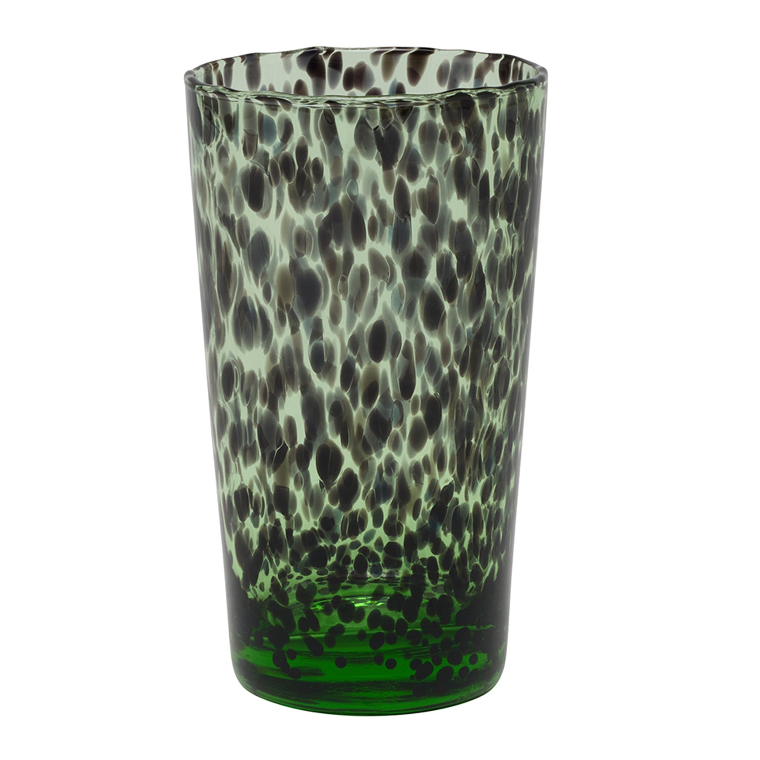Andrew Mint Tortoise Highball Glasses - Set of 6