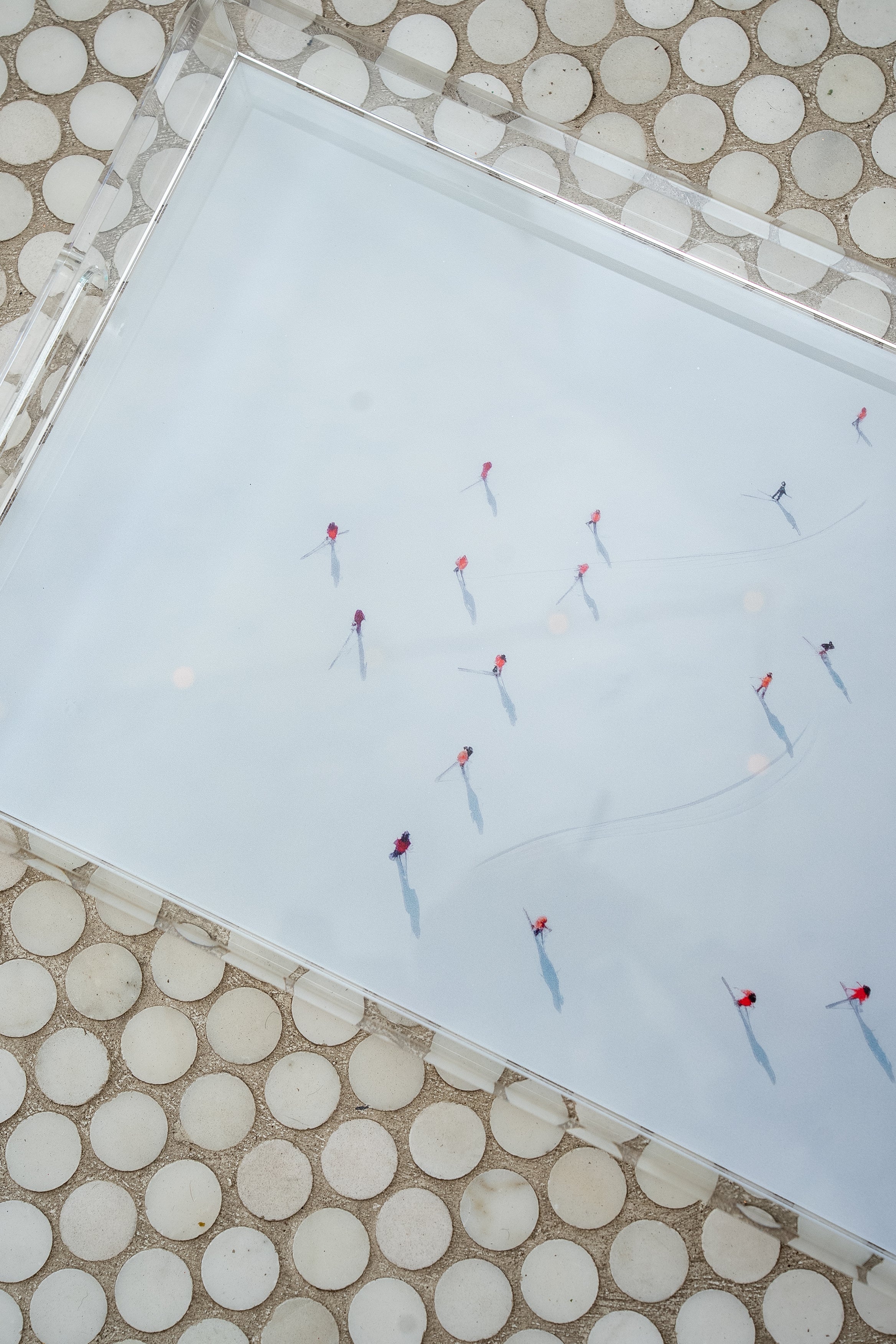 Aerial Group Skiing Tray
