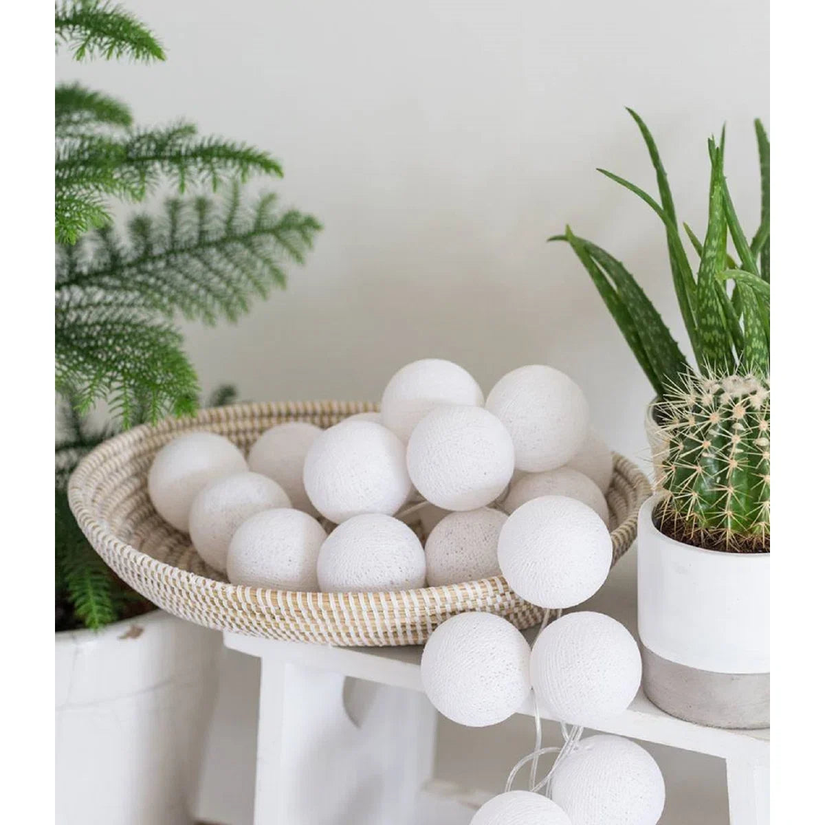 Strand of 50 Cotton Ball Lights