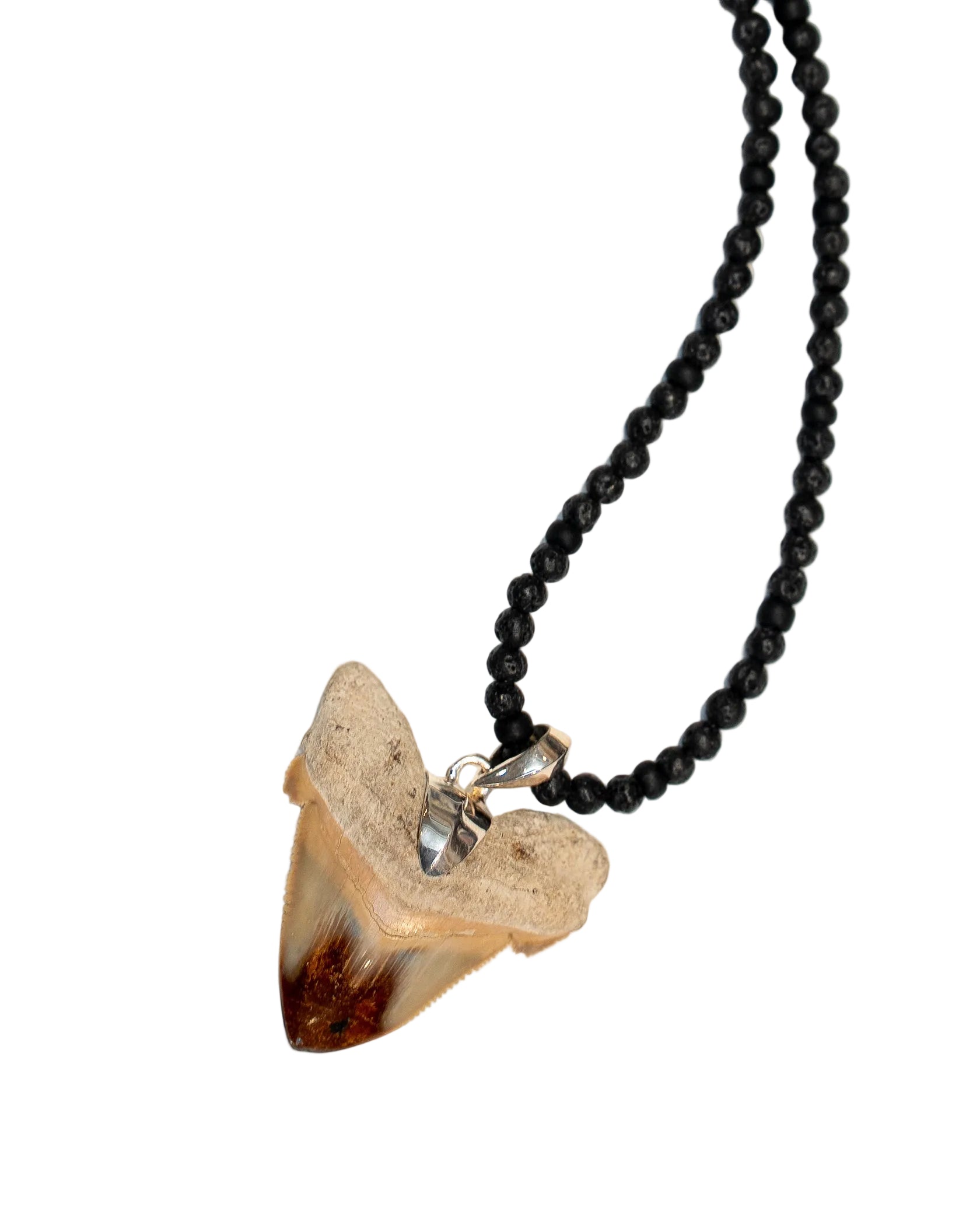 Shark Tooth Necklace