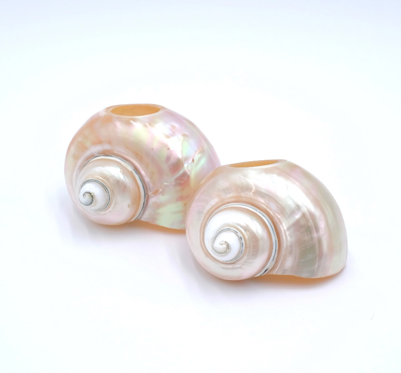 Seashell Napkin Rings