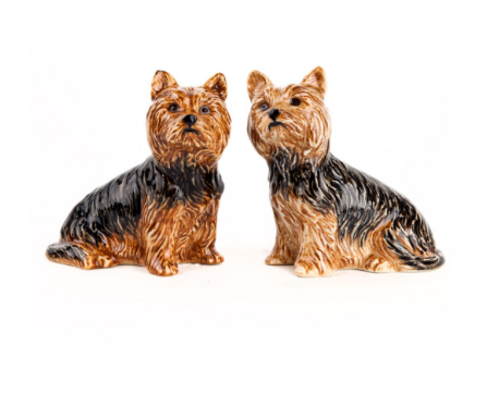 Yorkshire Salt & Pepper Shakers