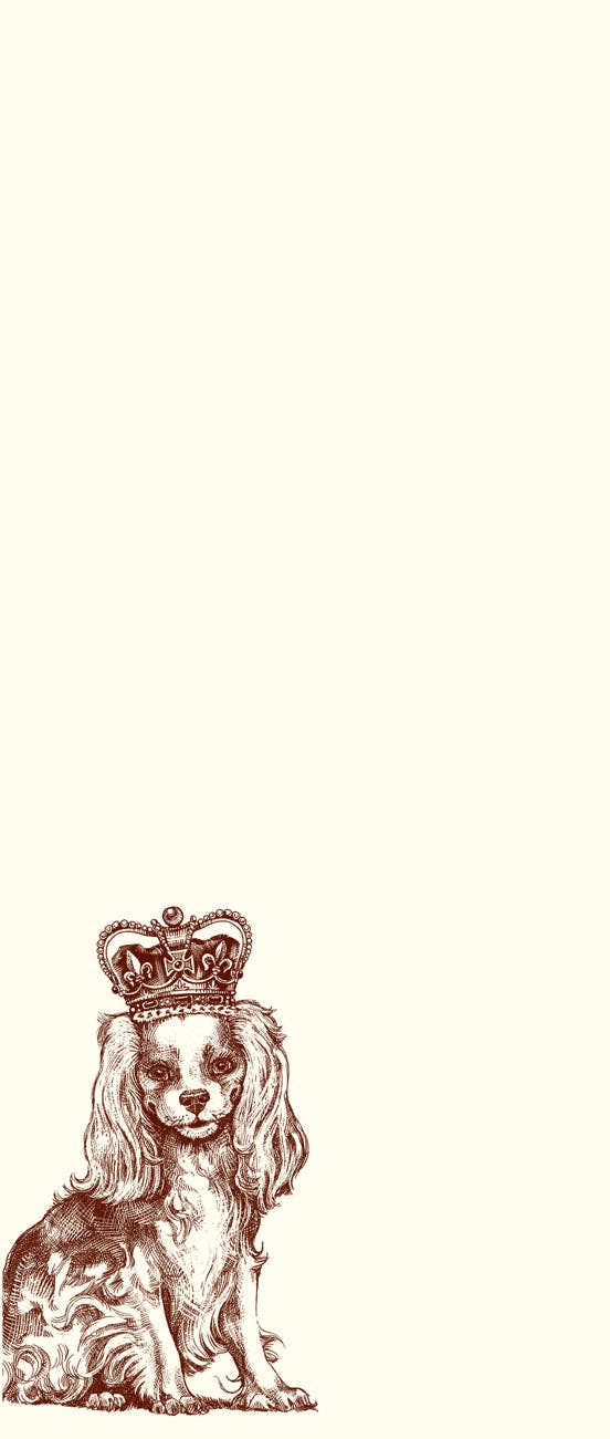 Royal Cavalier King Charles Long Pad