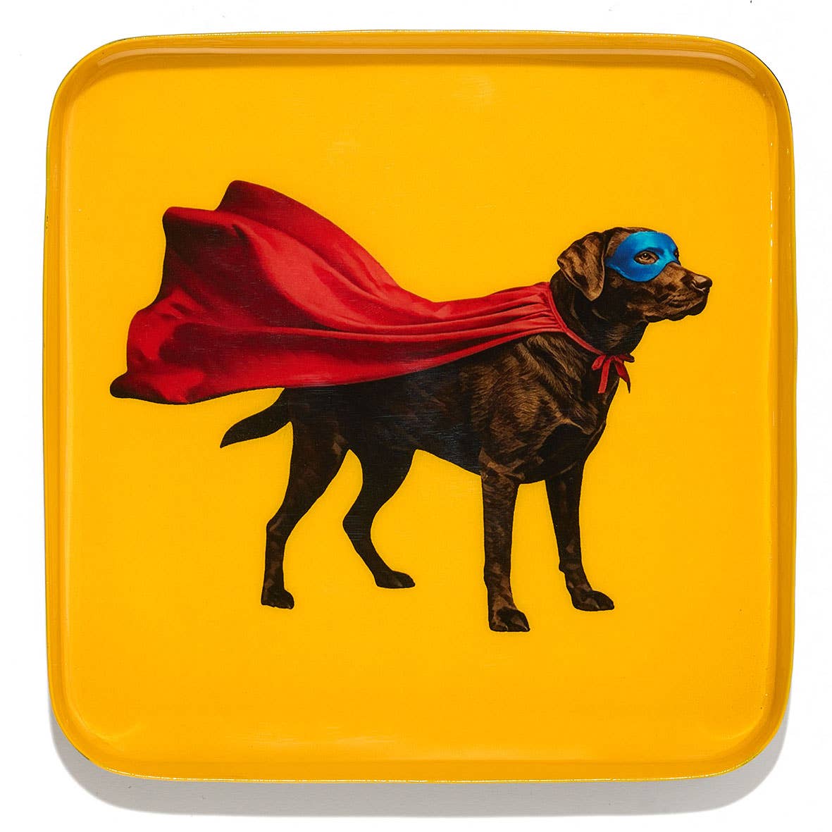 Labraman Trinket Tray