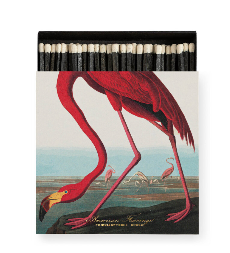 The American Flamingo by Audubon