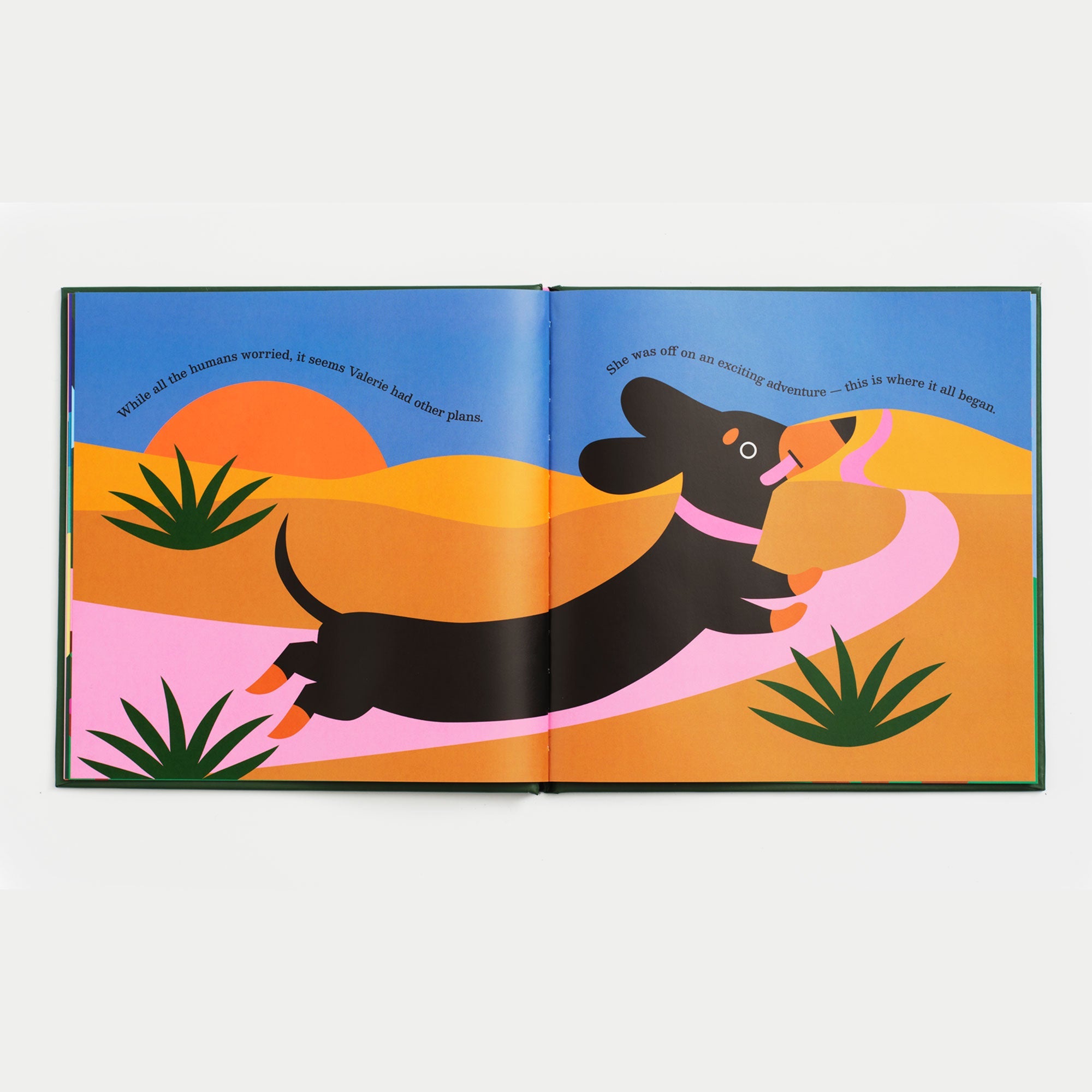 Valerie Dachshund Explorer