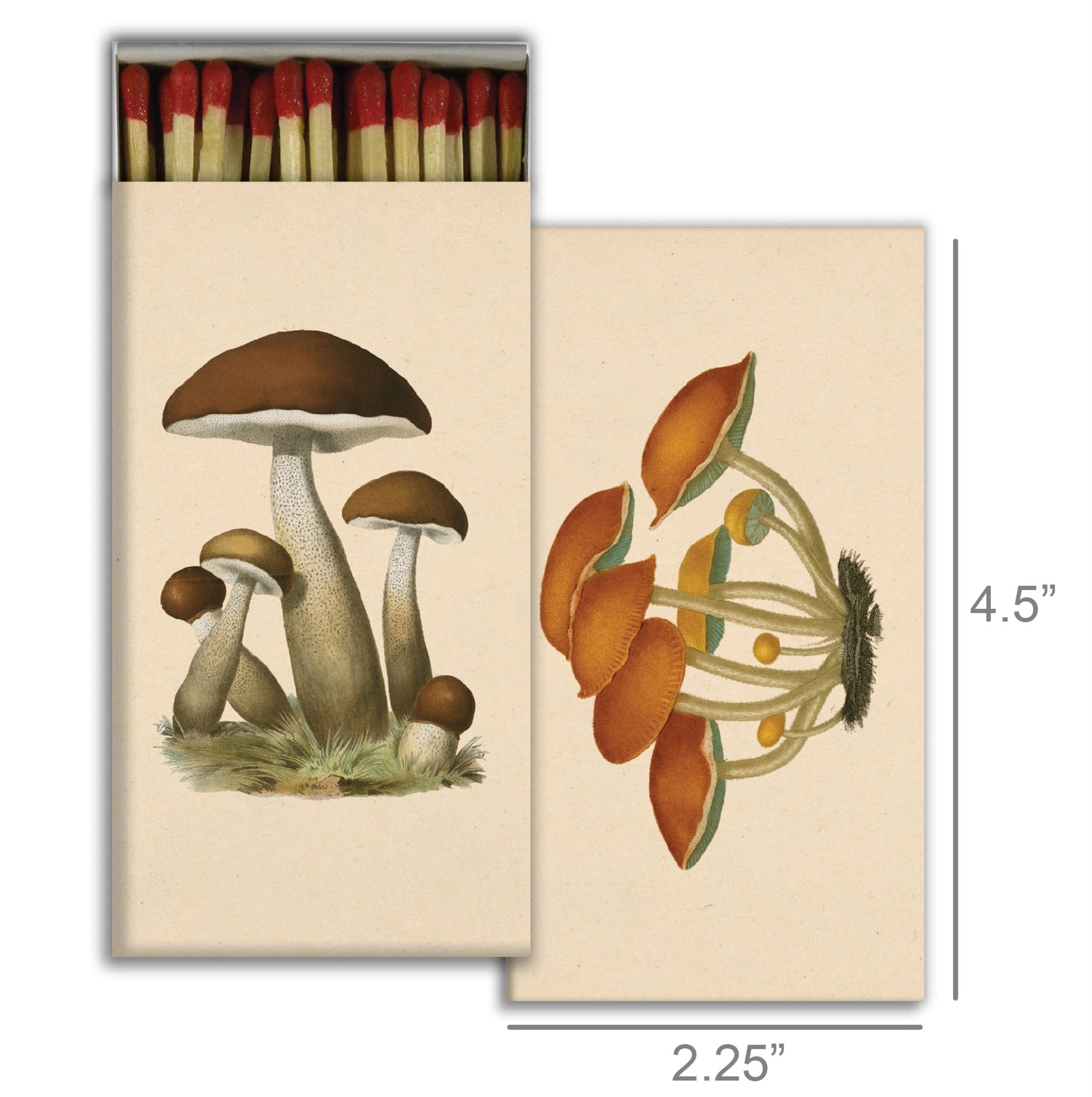 Matches ~ Mushrooms