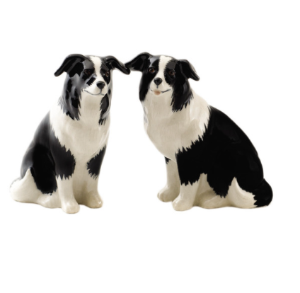 Border Collie Salt & Pepper Shakers