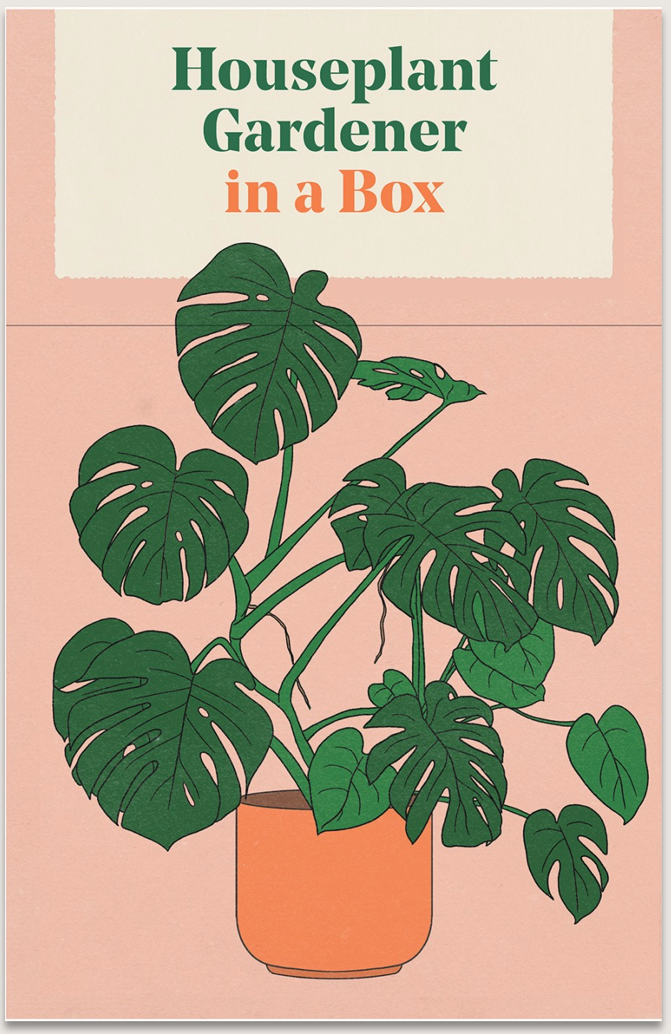 Houseplant Gardener in a Box