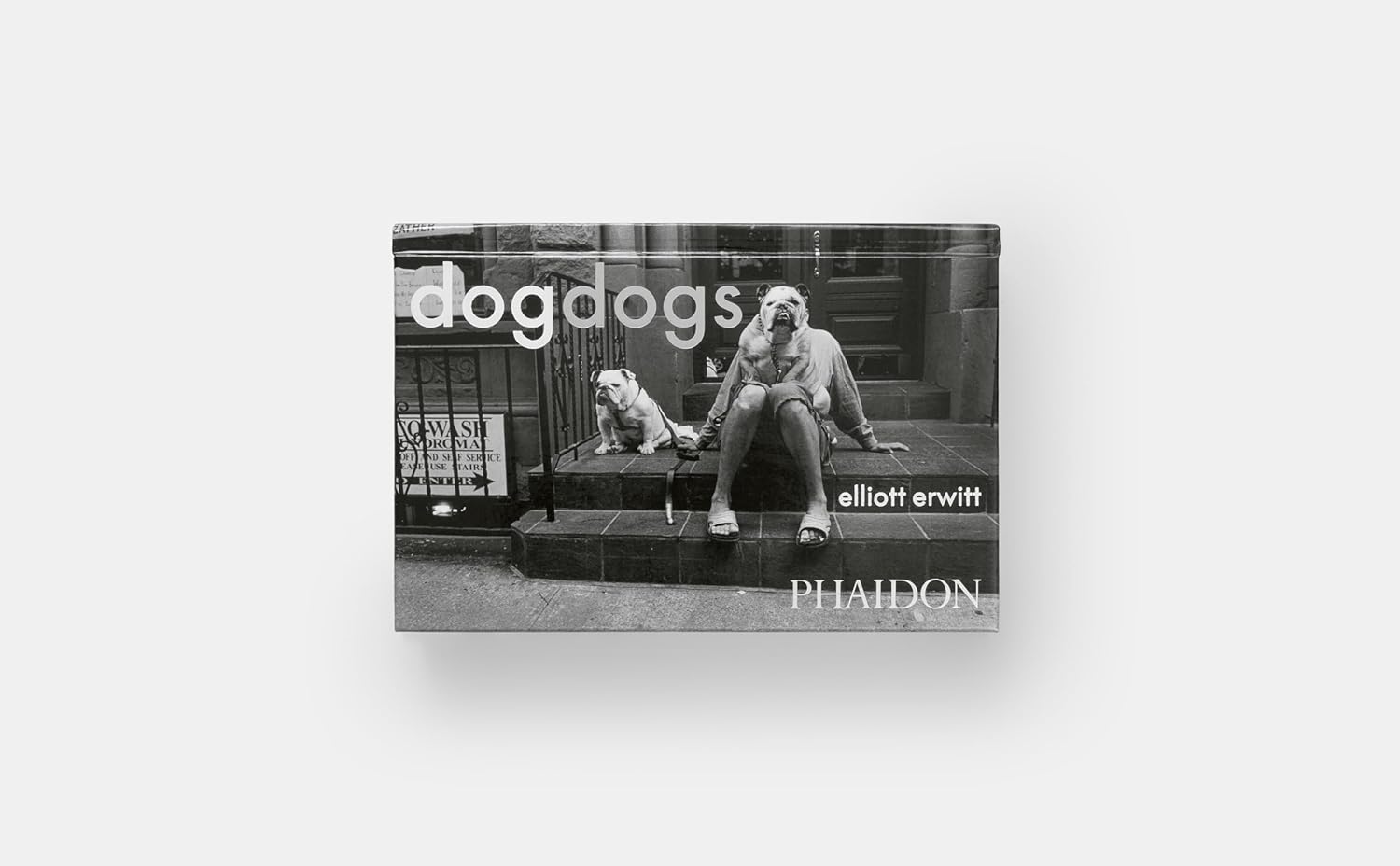 DogDogs