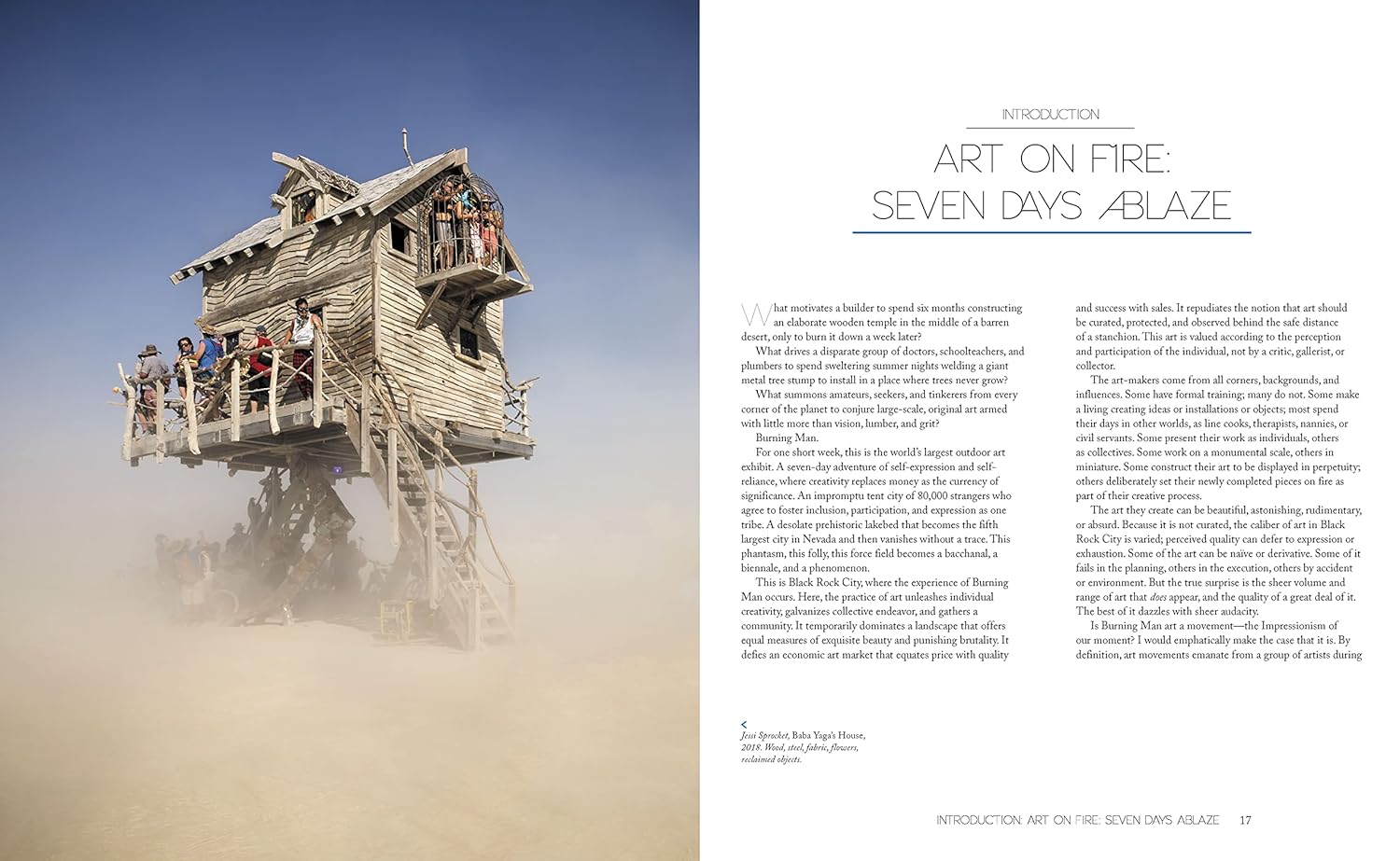 Burning Man: Art on Fire