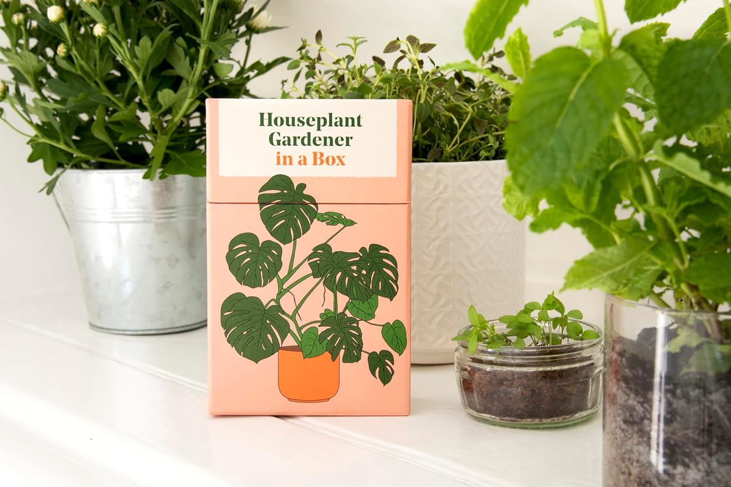 Houseplant Gardener in a Box