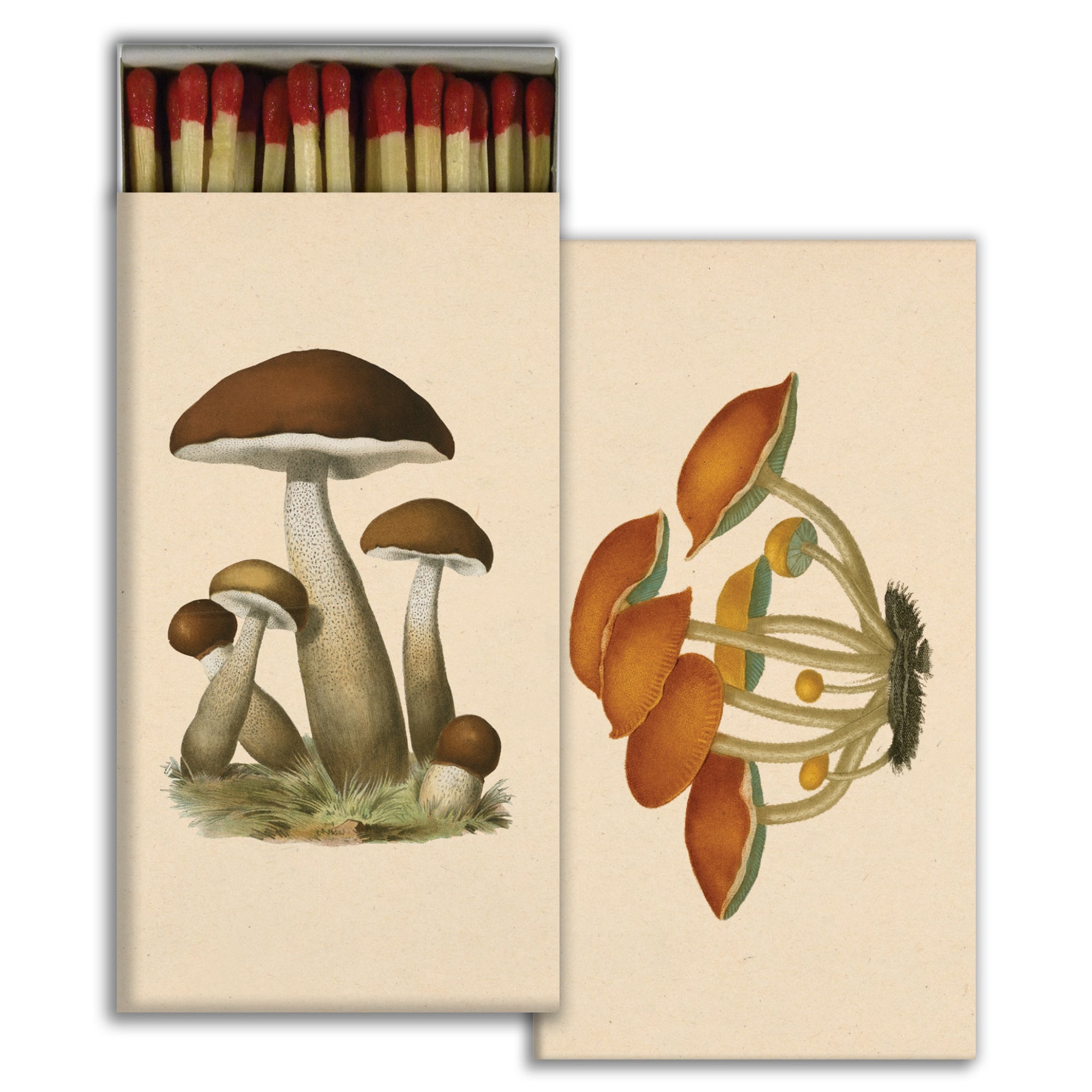Matches ~ Mushrooms